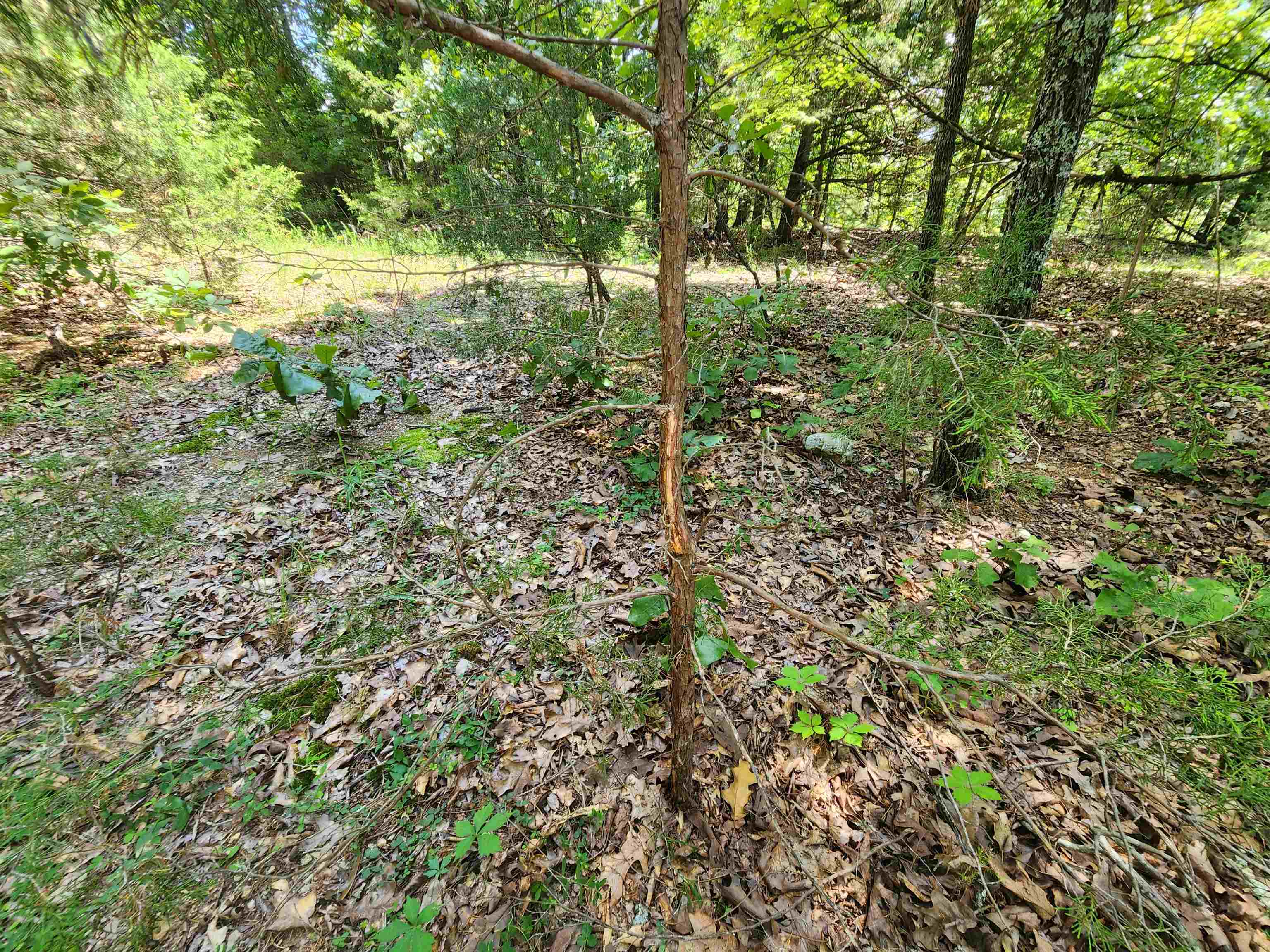 L35b2 Black Cloud Circle Property Photo 22