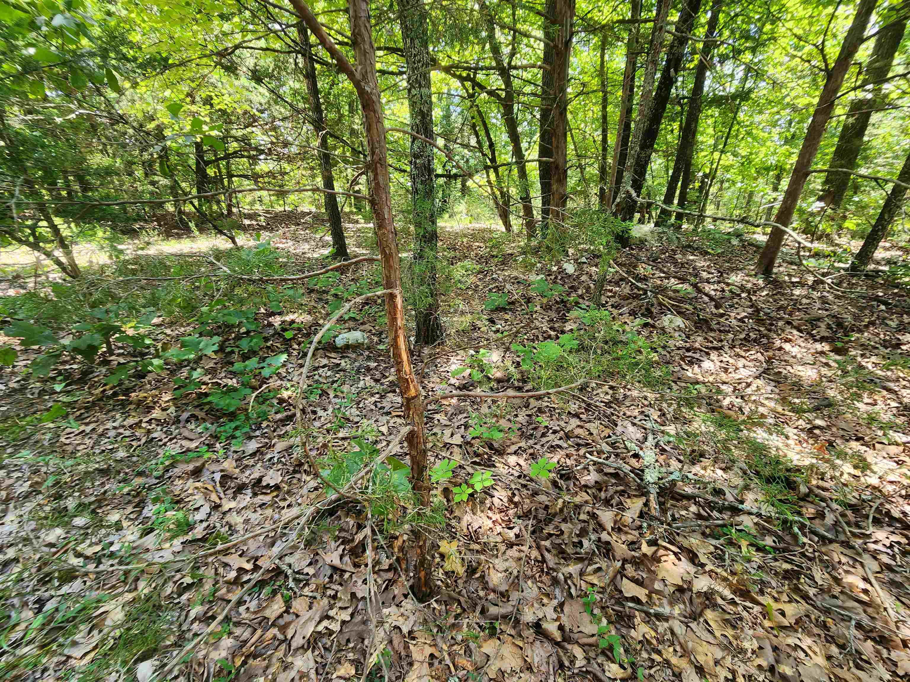 L35b2 Black Cloud Circle Property Photo 23