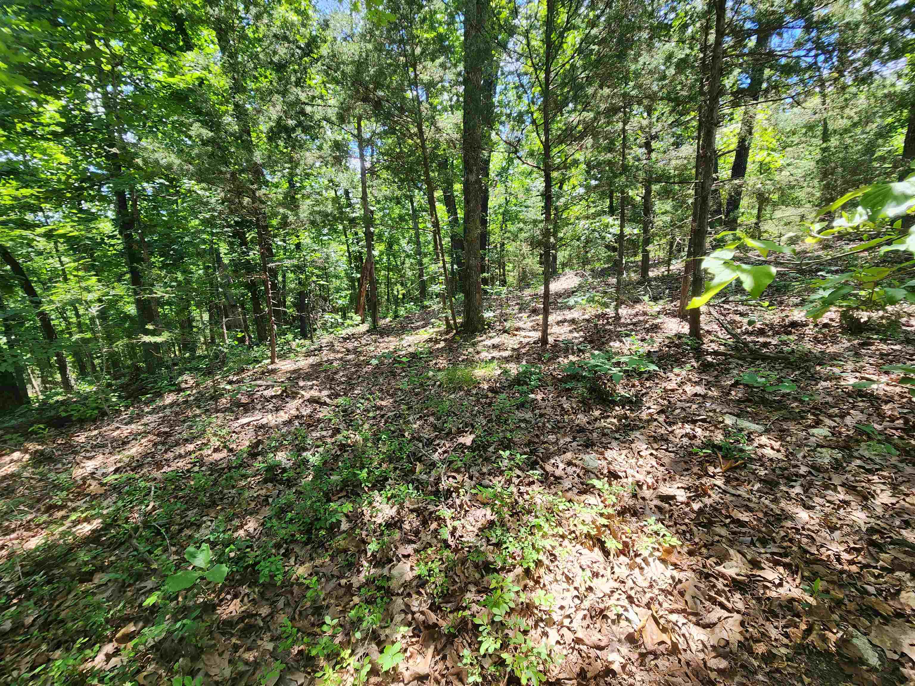 L10b9 Quarez Property Photo 15