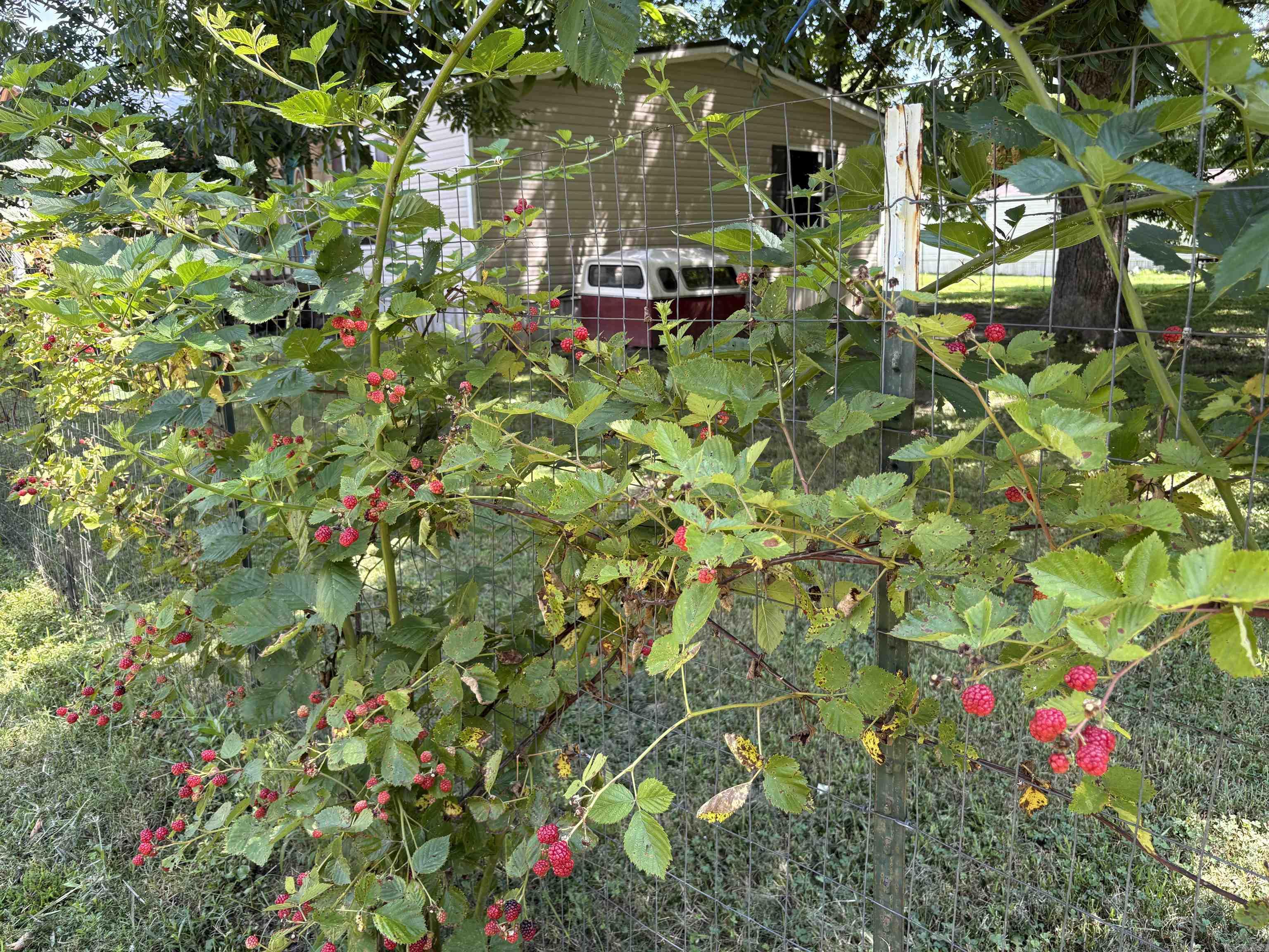 1014 S Third Street Property Photo 7
