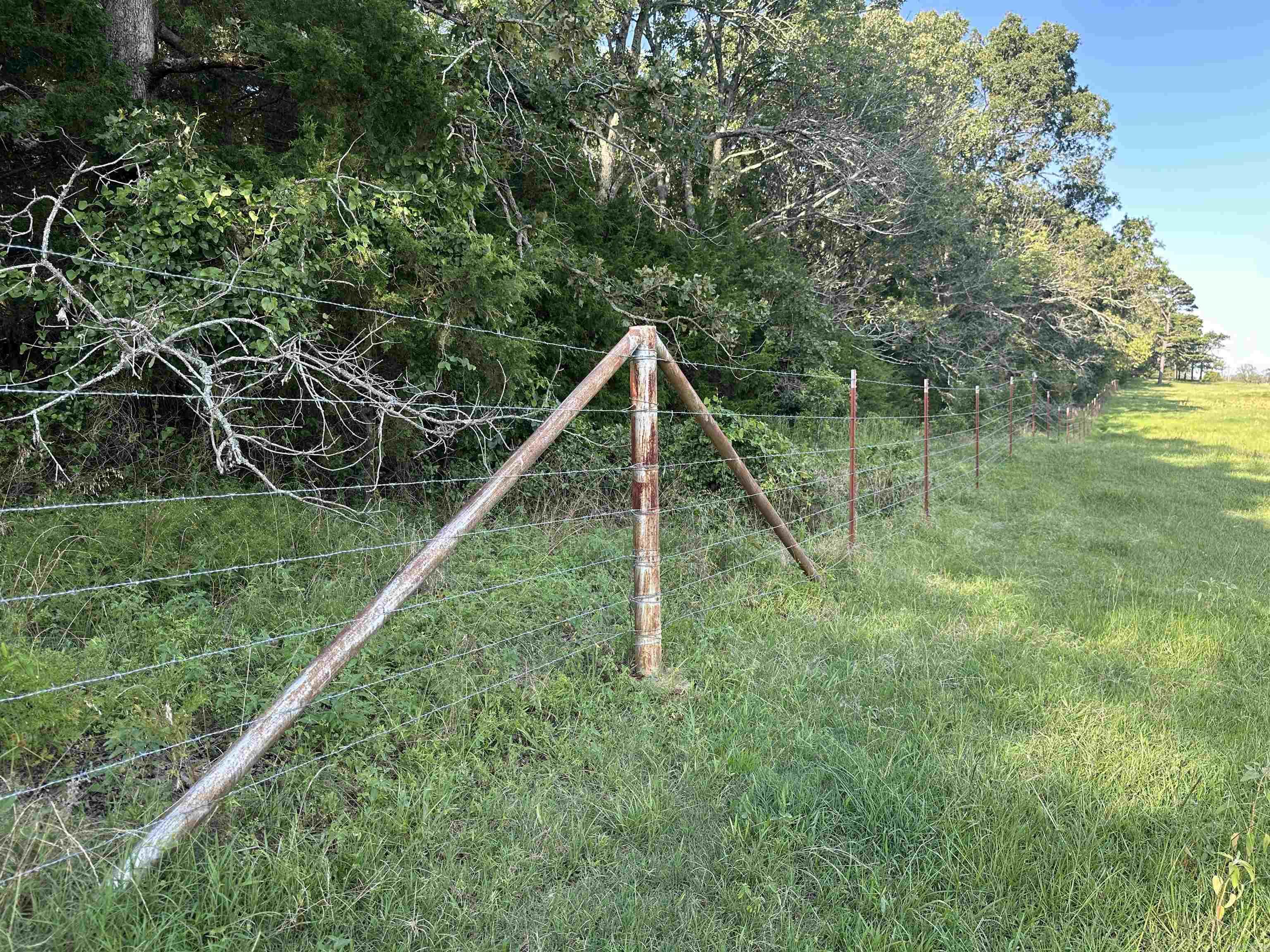 181 Lovers Lane Property Photo 31