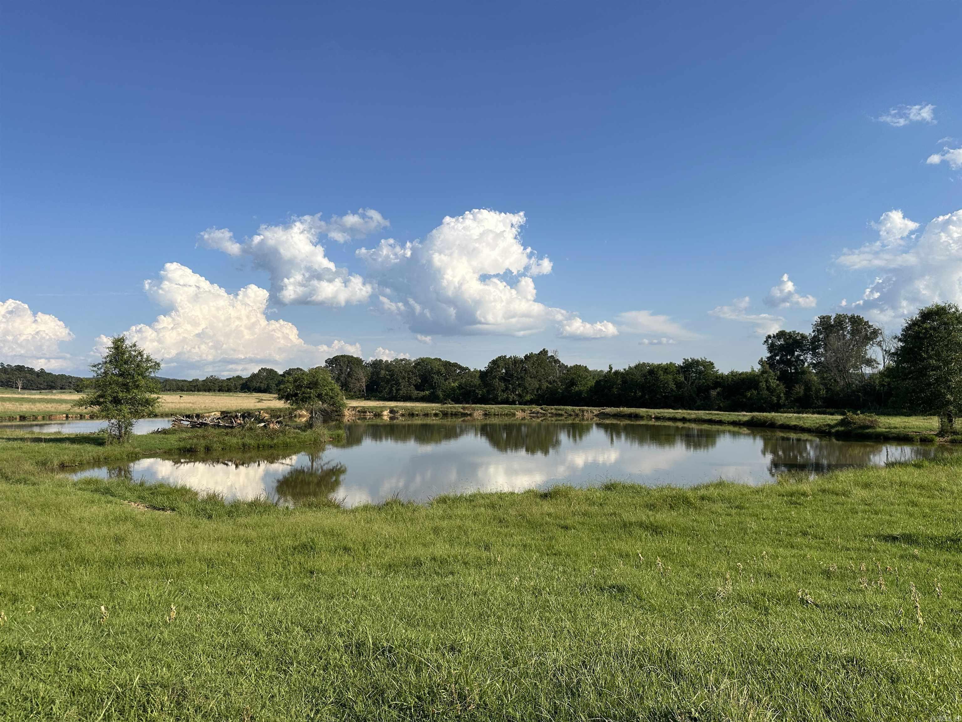 181 Lovers Lane Property Photo 33