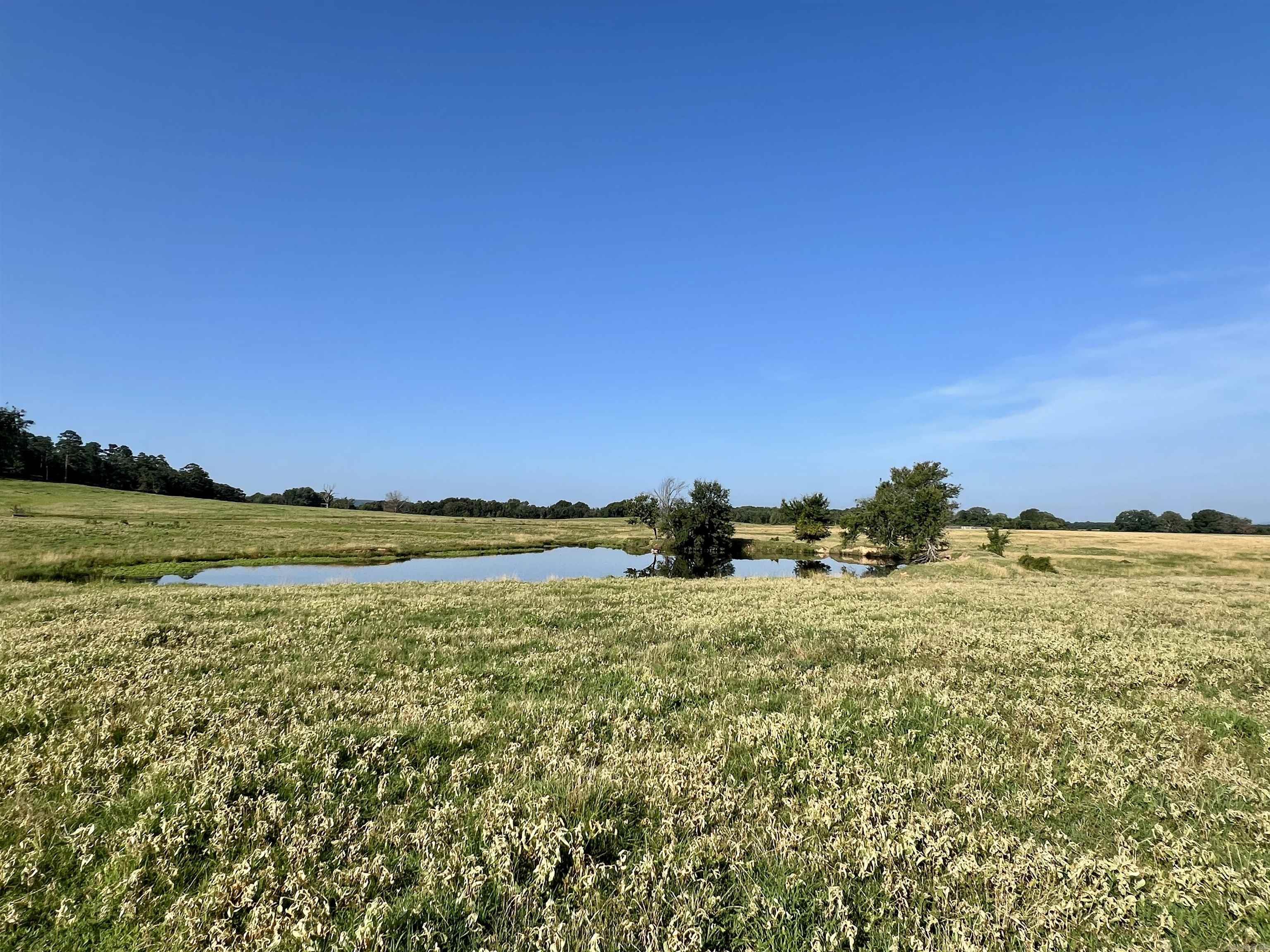 181 Lovers Lane Property Photo 43