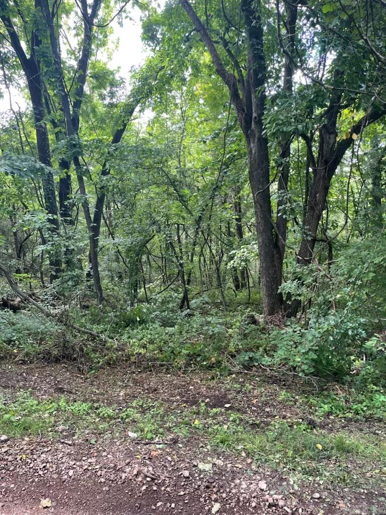 366 Hillhollow Road Property Photo 6
