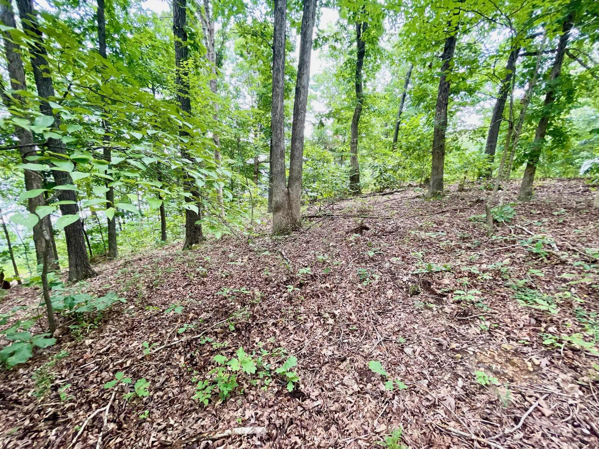 300 Isabella Lane Property Photo 18