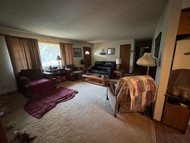 203 E Green Valley Drive Property Photo 11