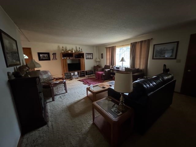 203 E Green Valley Drive Property Photo 12