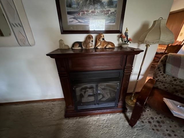 203 E Green Valley Drive Property Photo 13