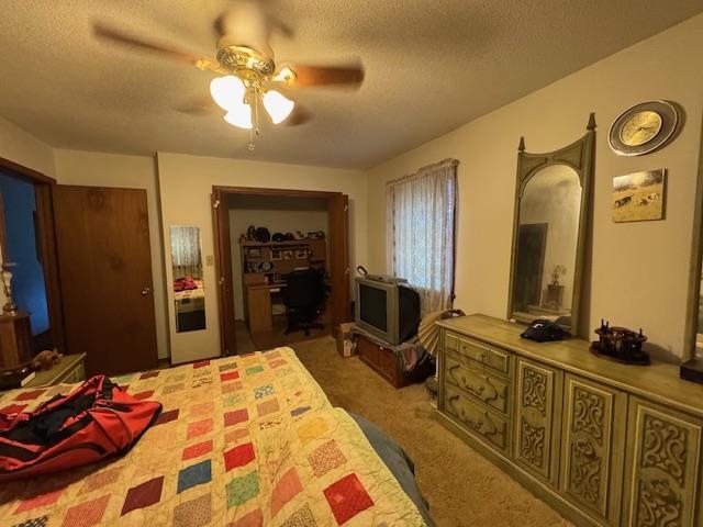 203 E Green Valley Drive Property Photo 18