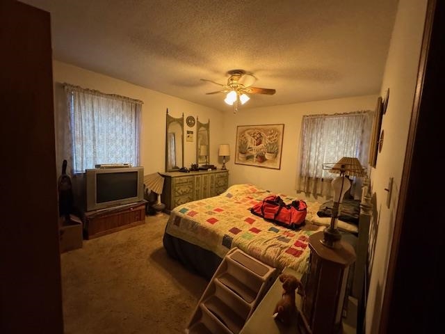 203 E Green Valley Drive Property Photo 19