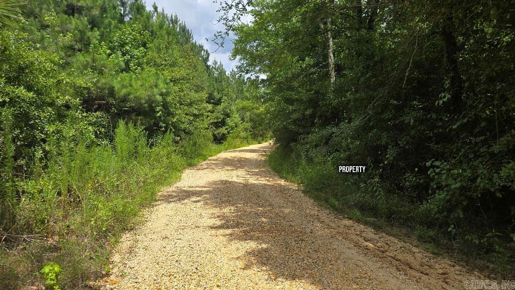 155 Ellison Road Property Photo 14
