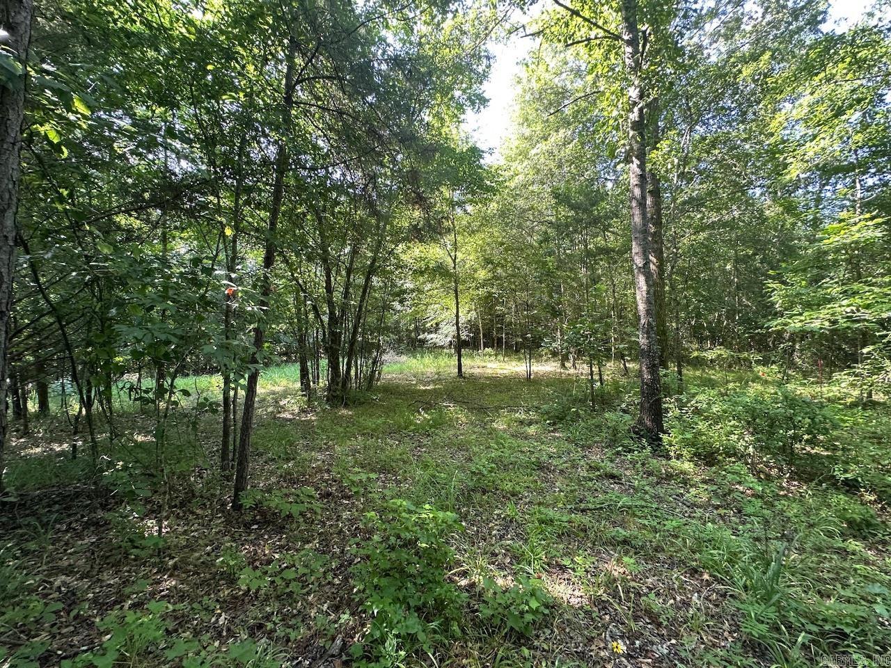 5047 Hwy 70 W Property Photo 9