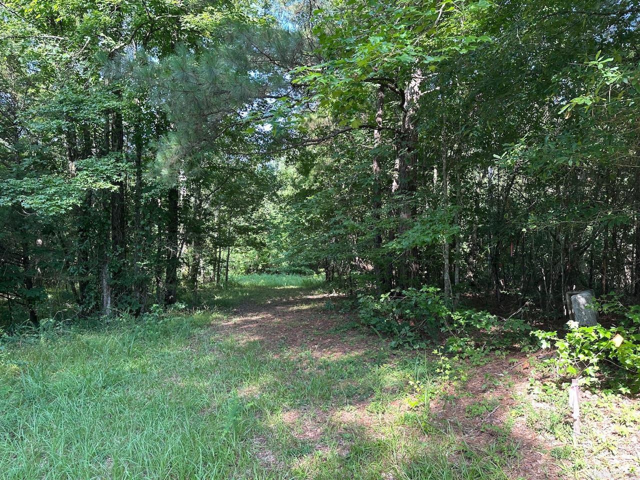 5047 Hwy 70 W Property Photo 10