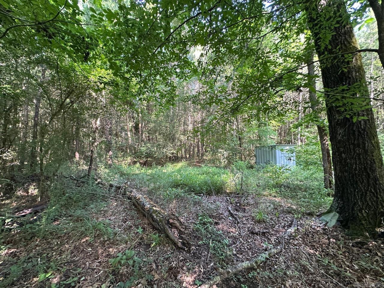 5047 Hwy 70 W Property Photo 12