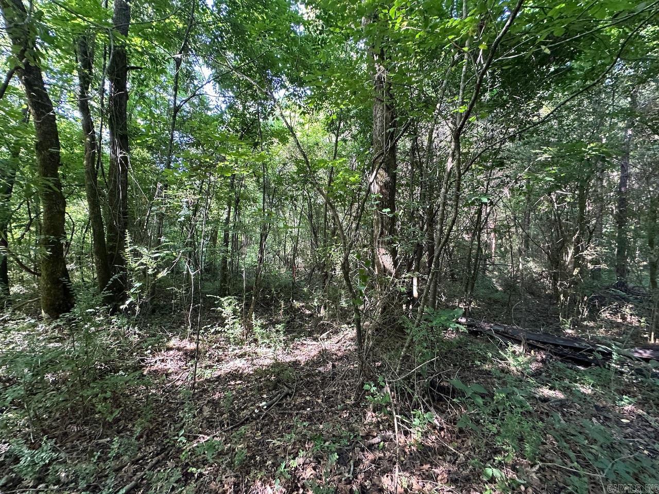 5047 Hwy 70 W Property Photo 13