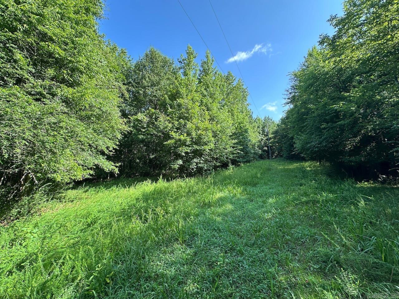 5047 Hwy 70 W Property Photo 14