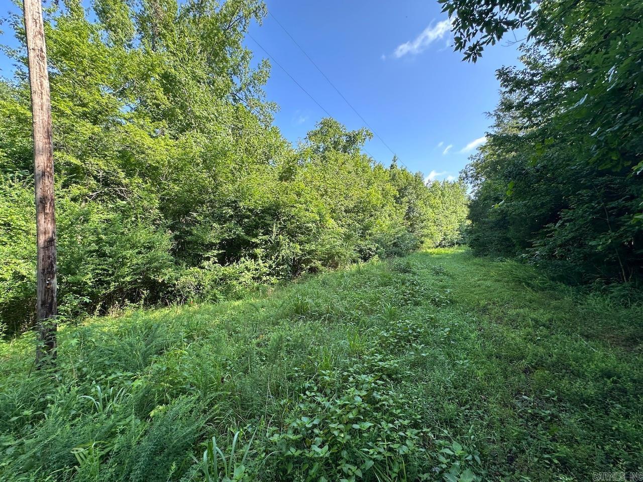 5047 Hwy 70 W Property Photo 15