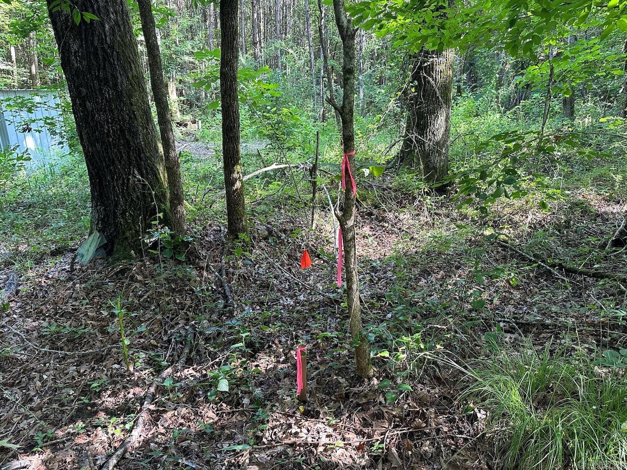 5047 Hwy 70 W Property Photo 16
