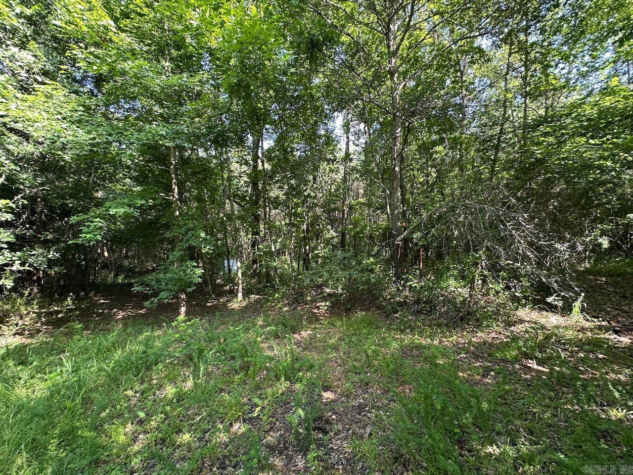 5047 Hwy 70 W Property Photo 17