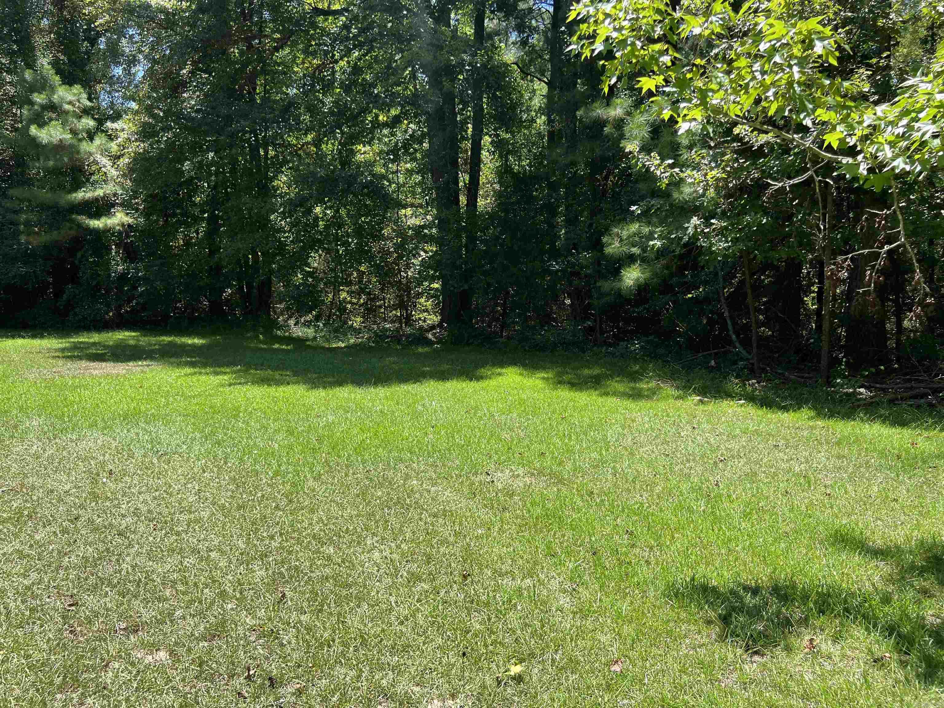 6250 Highway 133 Property Photo 7