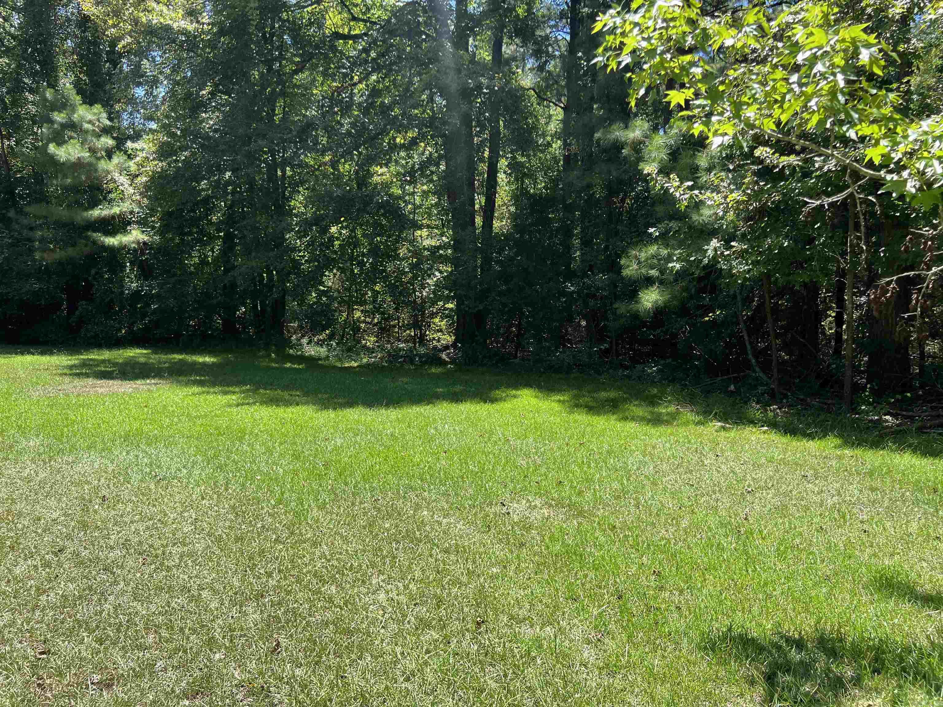 6250 Highway 133 Property Photo 8