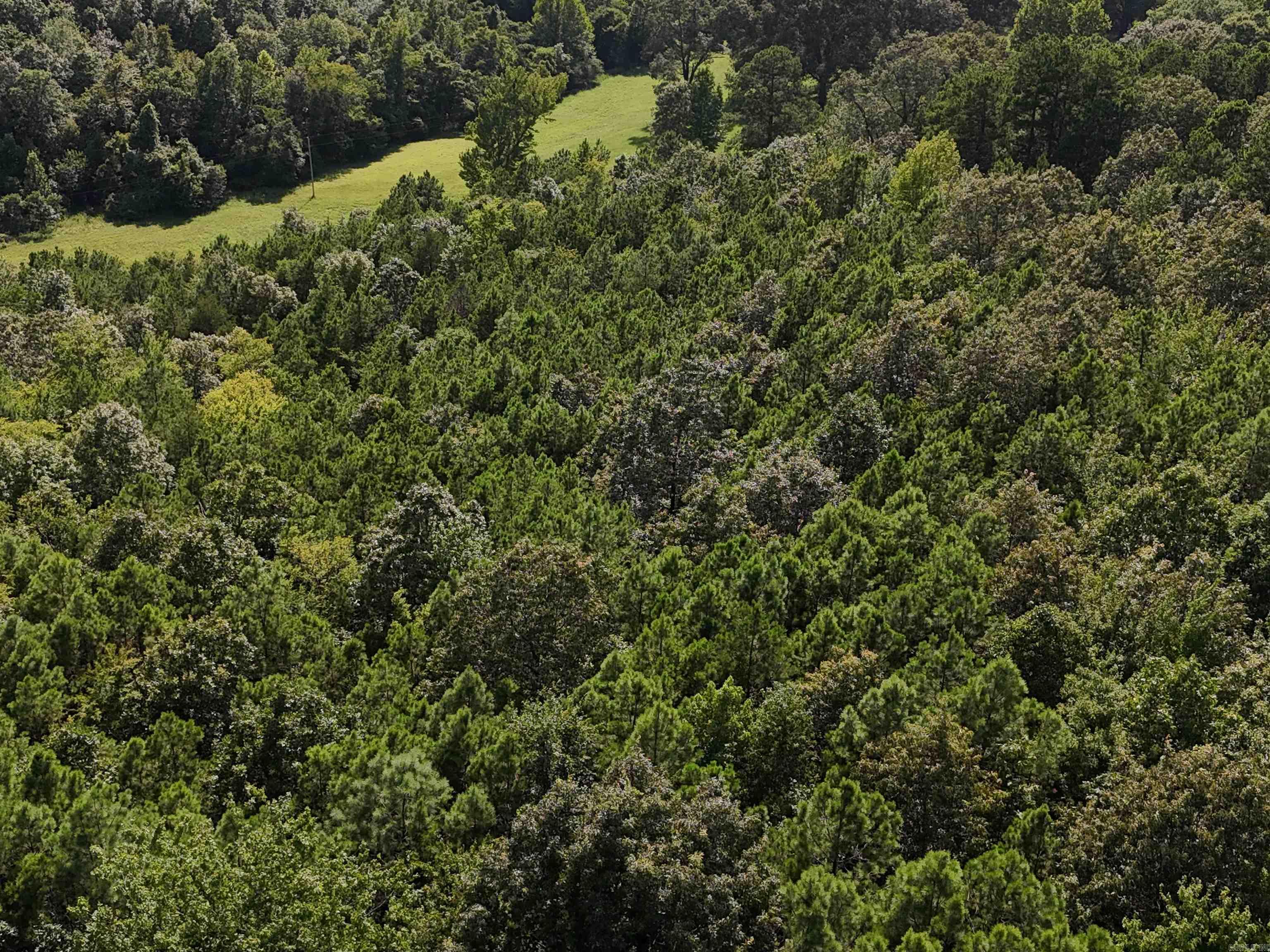 Lot 1 Polk Road 78 Property Photo 2