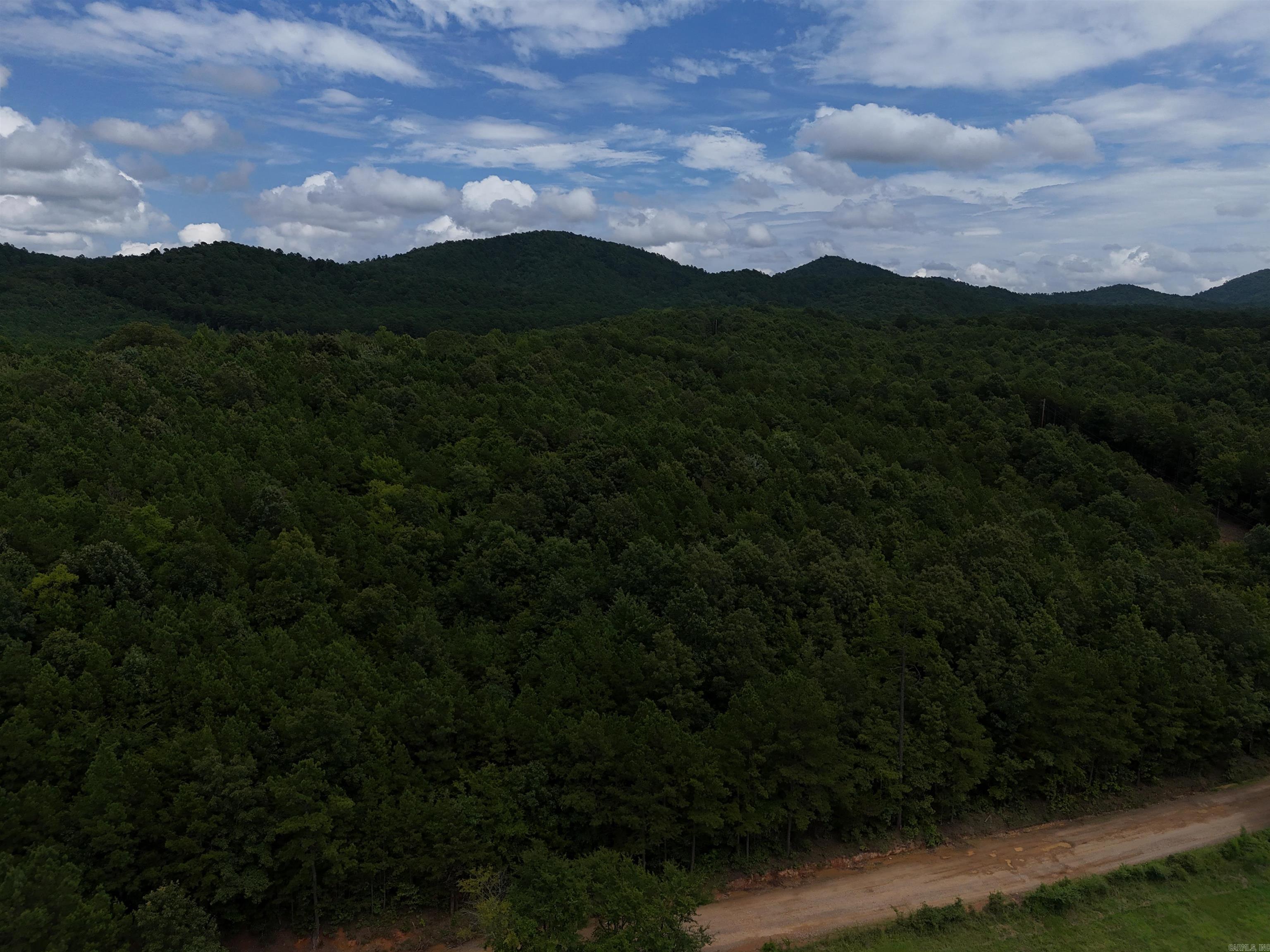 Lot 1 Polk Road 78 Property Photo 4