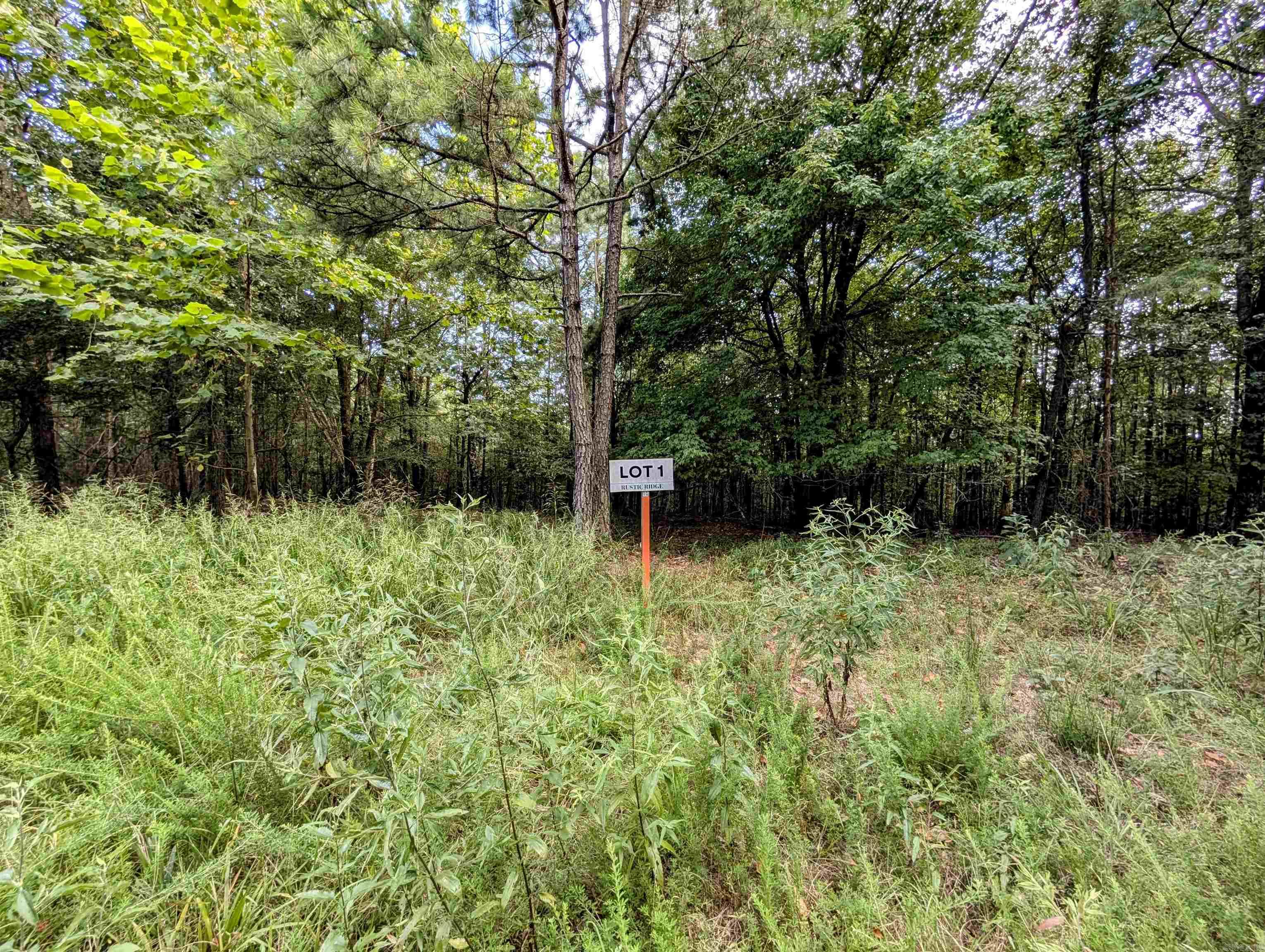 Lot 1 Polk Road 78 Property Photo 6