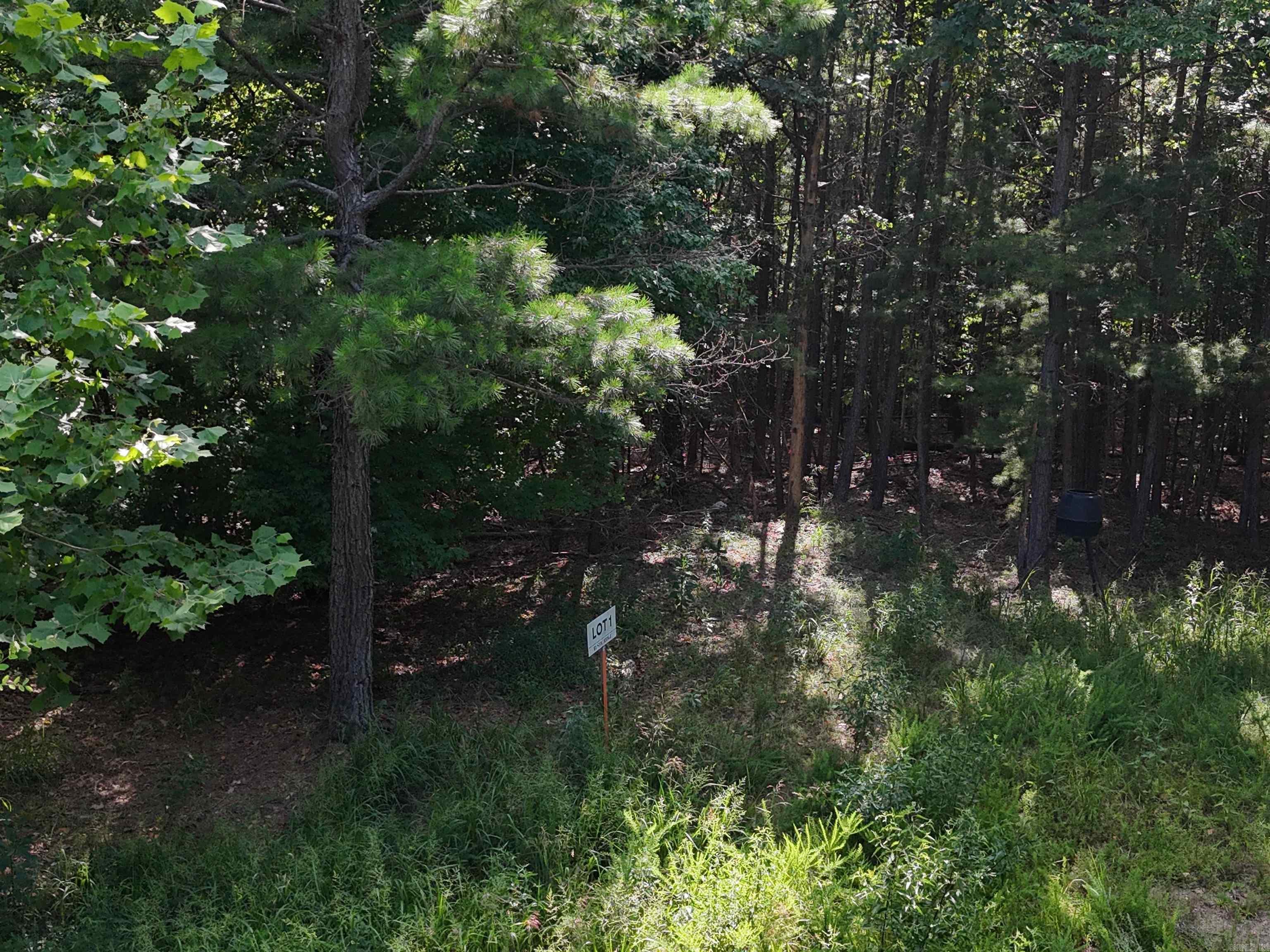 Lot 1 Polk Road 78 Property Photo 7