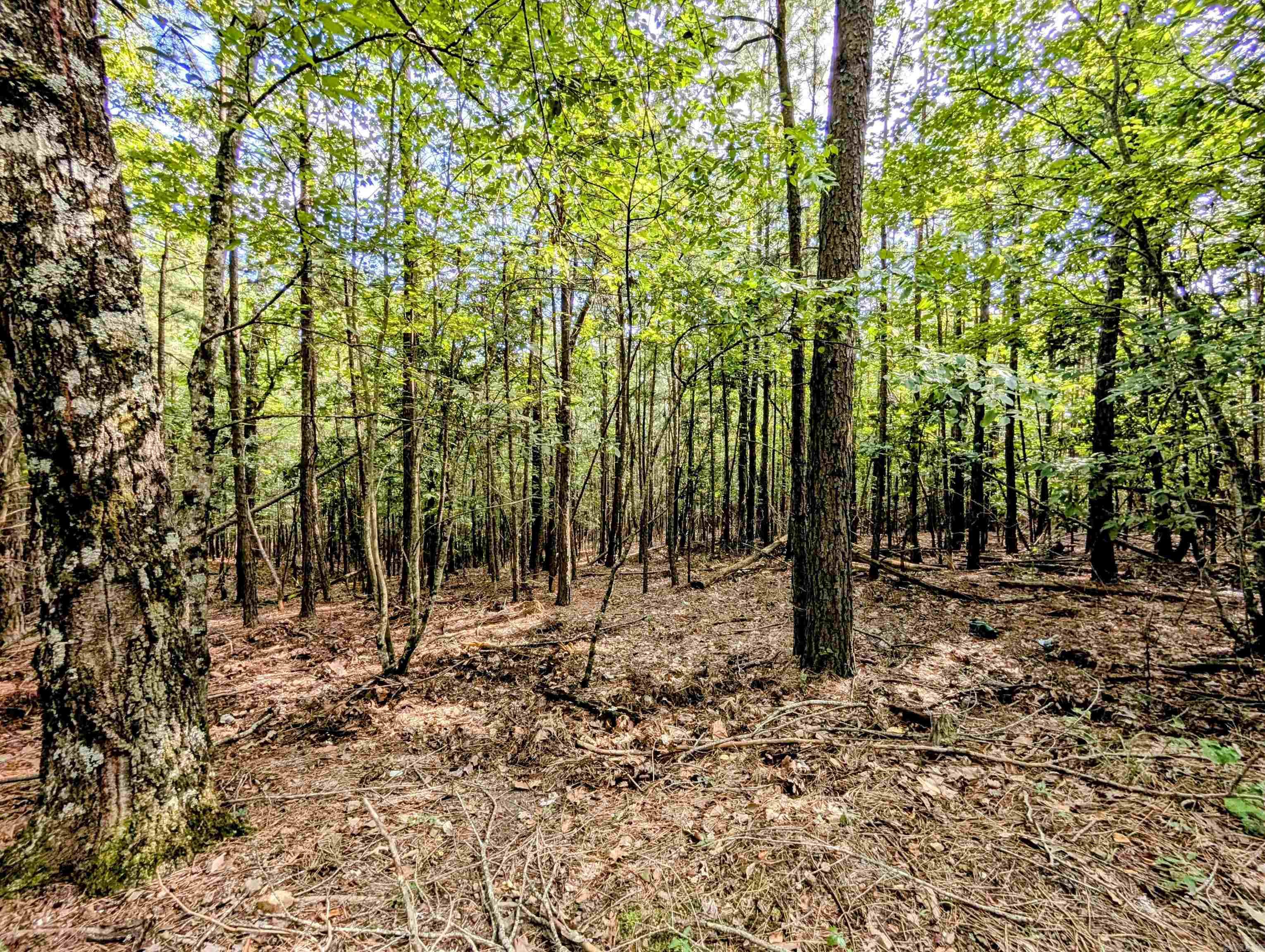 Lot 1 Polk Road 78 Property Photo 8