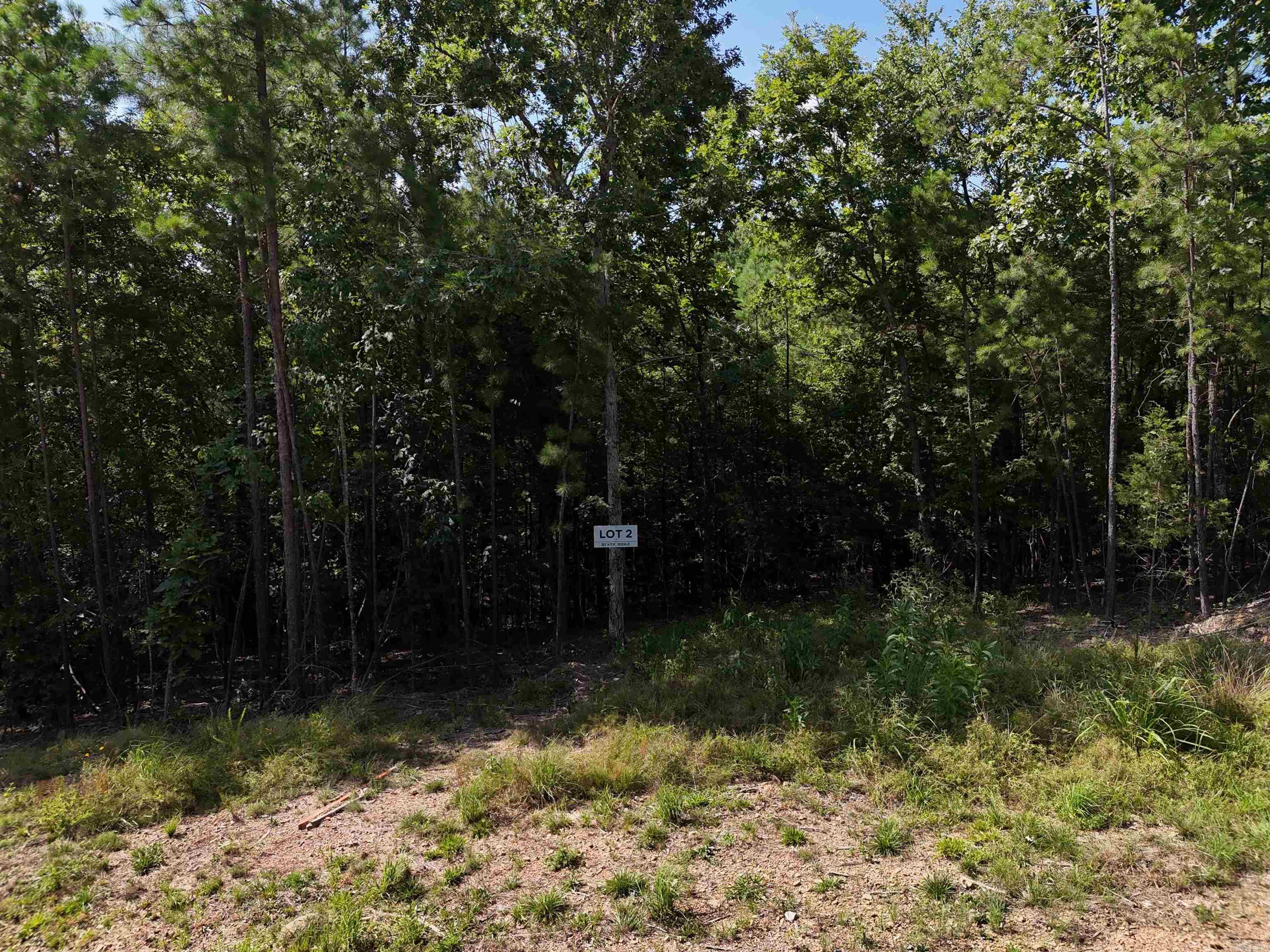 Lot 2 Polk Road 78 Property Photo 3