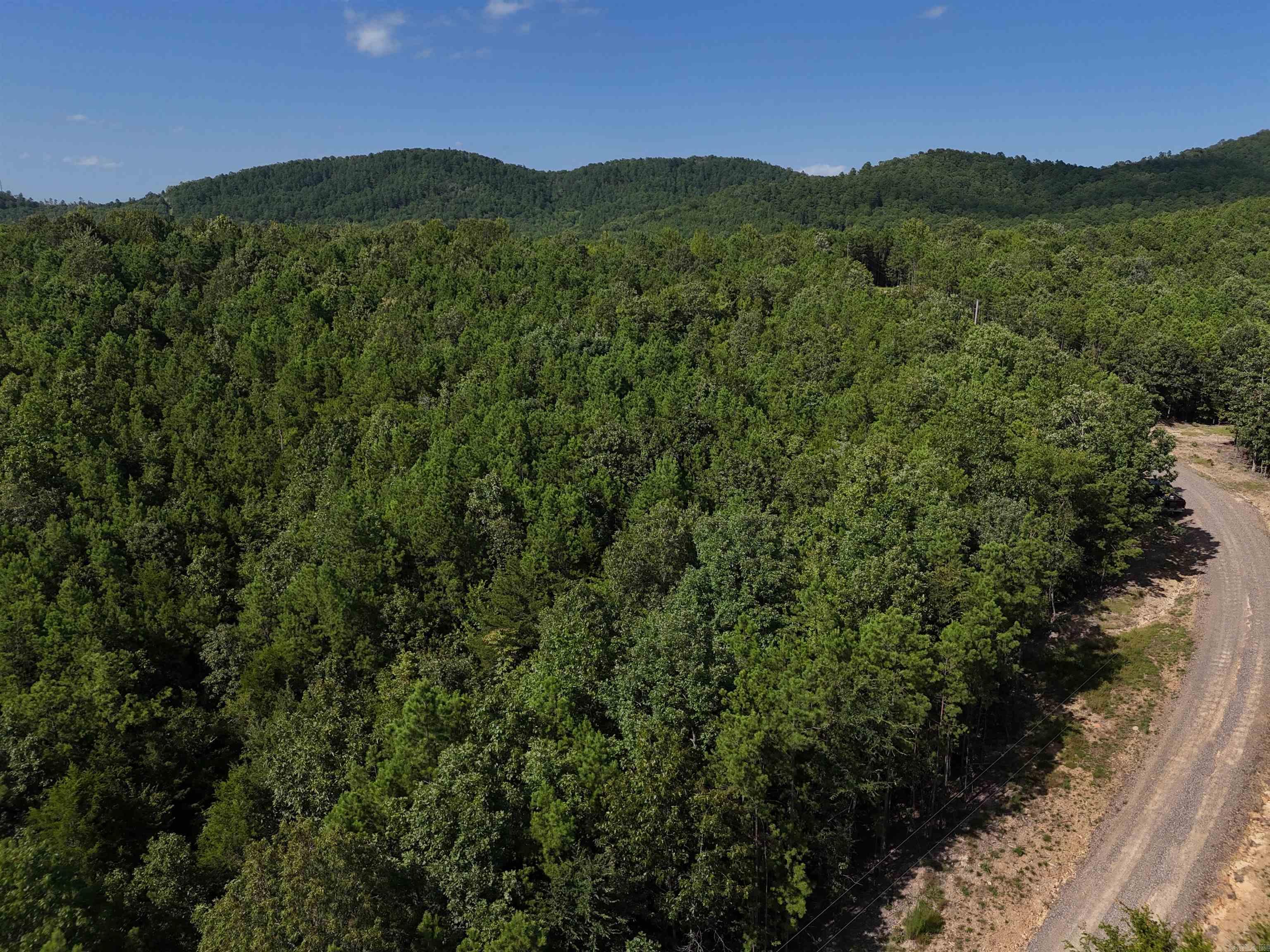 Lot 2 Polk Road 78 Property Photo 4