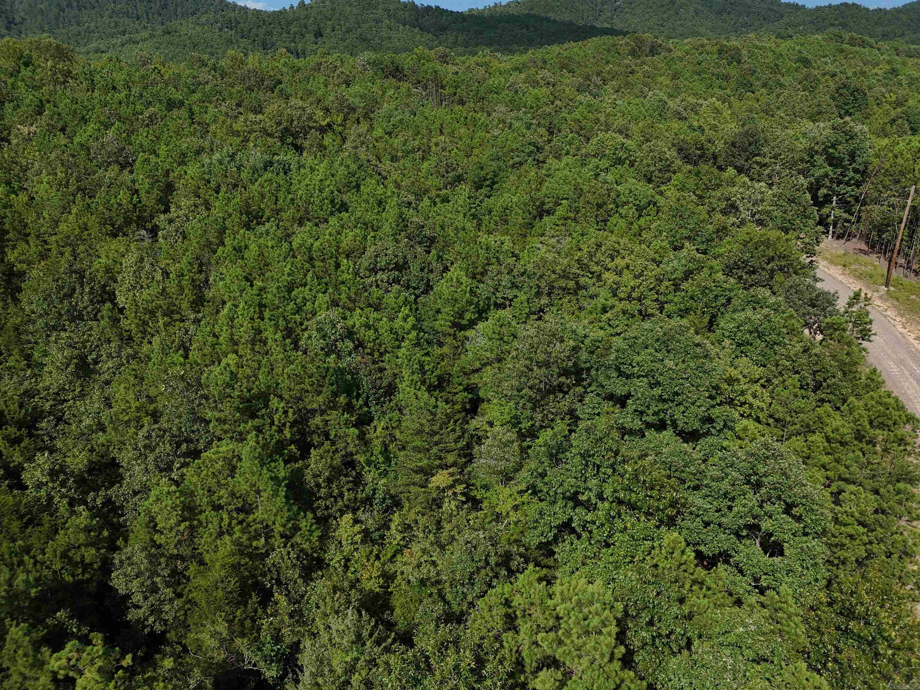 Lot 2 Polk Road 78 Property Photo 5