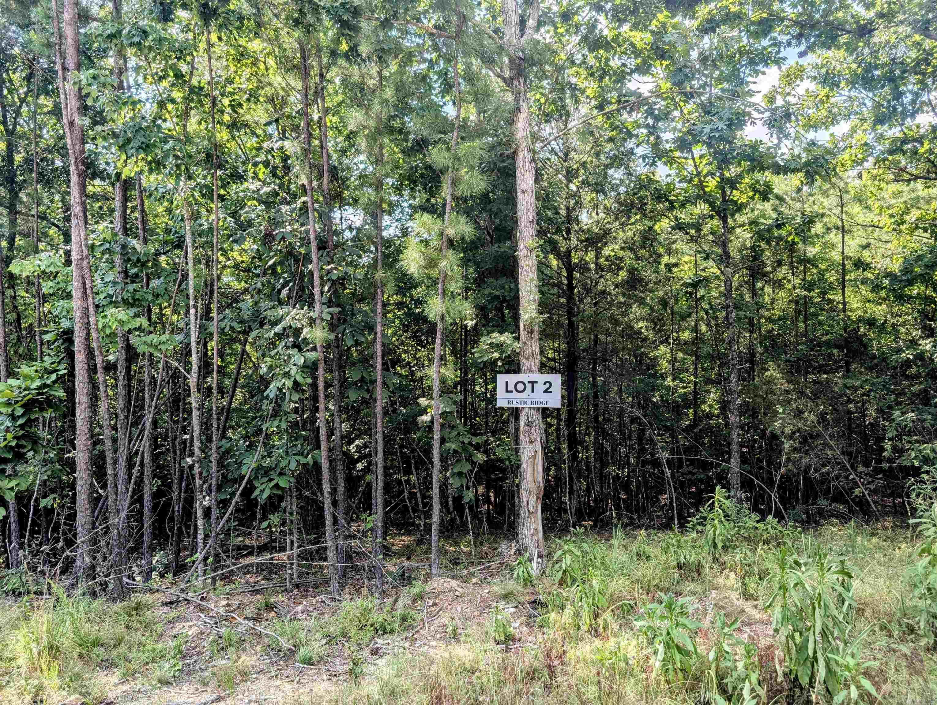 Lot 2 Polk Road 78 Property Photo 6