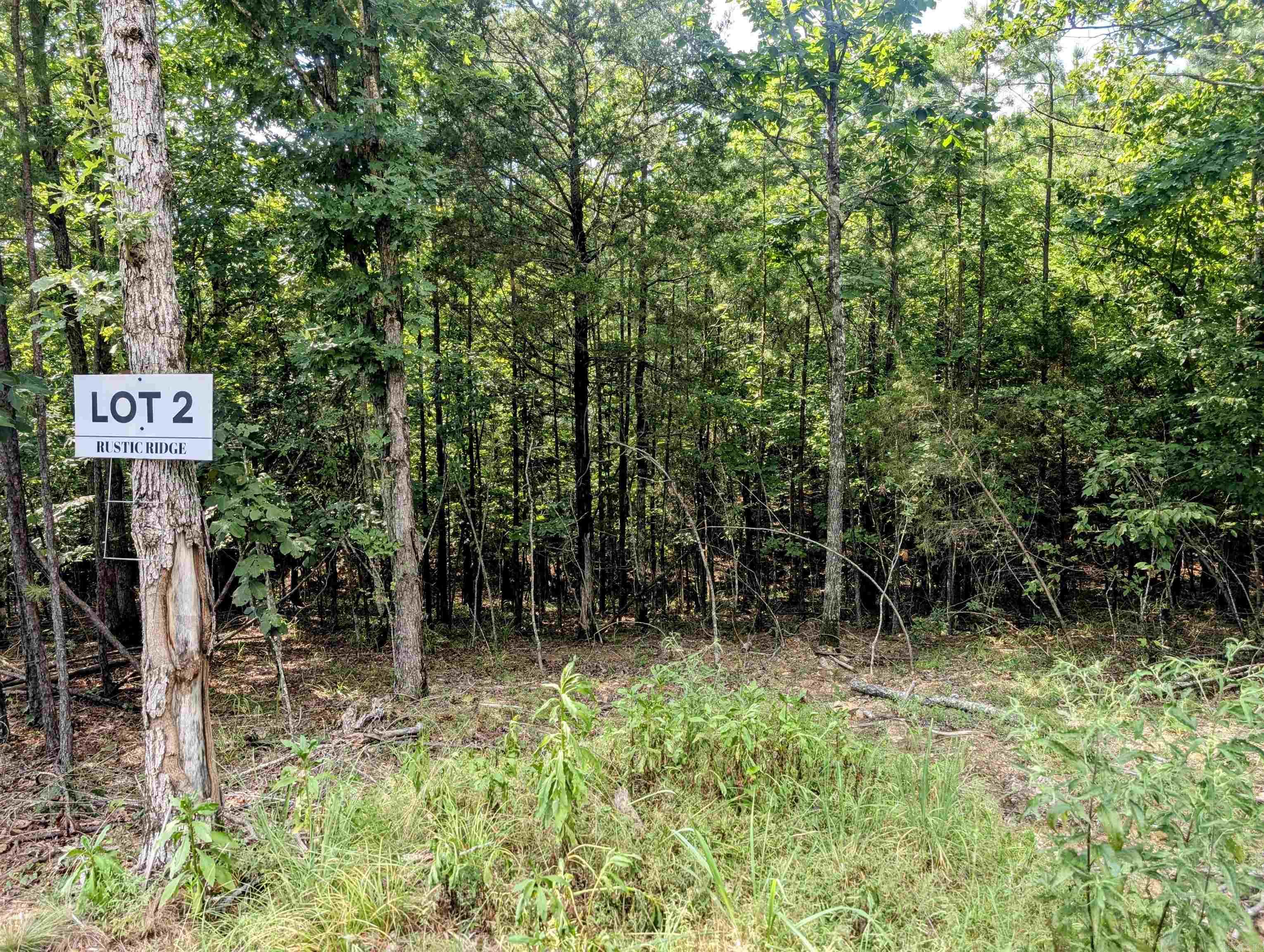 Lot 2 Polk Road 78 Property Photo 7