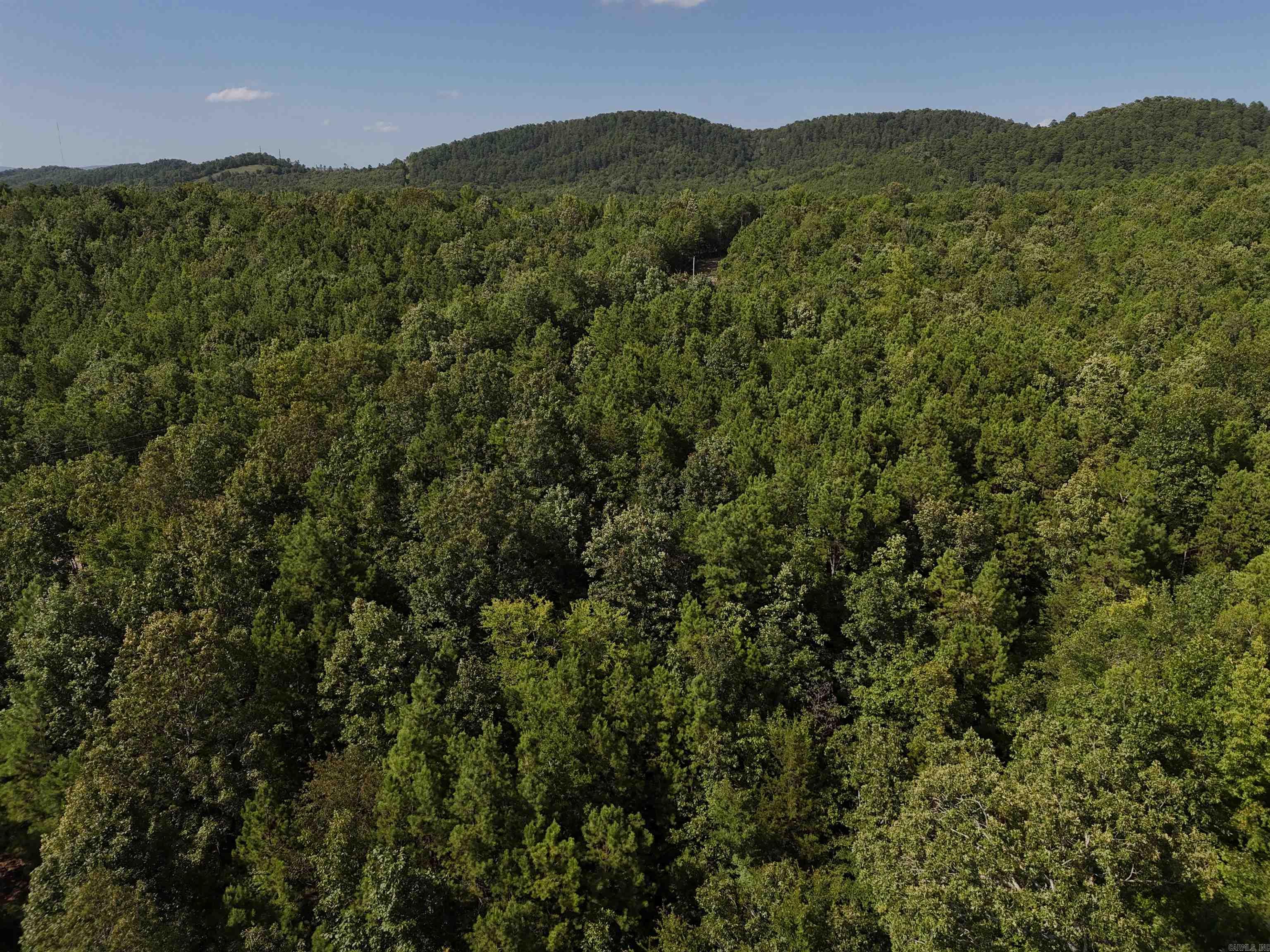 Lot 4 Polk Road 78 Property Photo 1