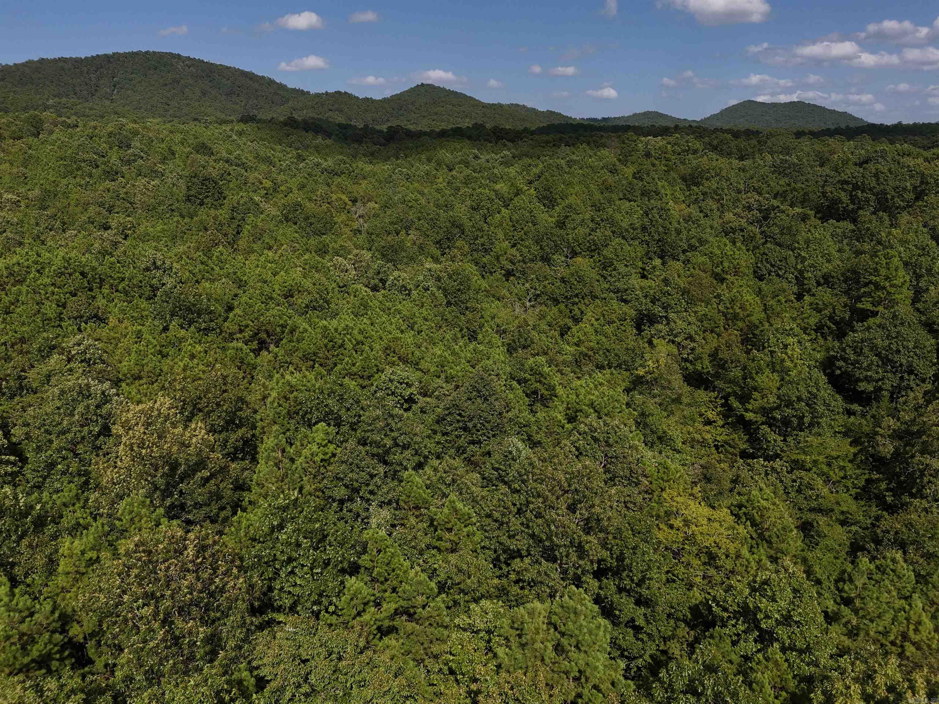 Lot 4 Polk Road 78 Property Photo 2