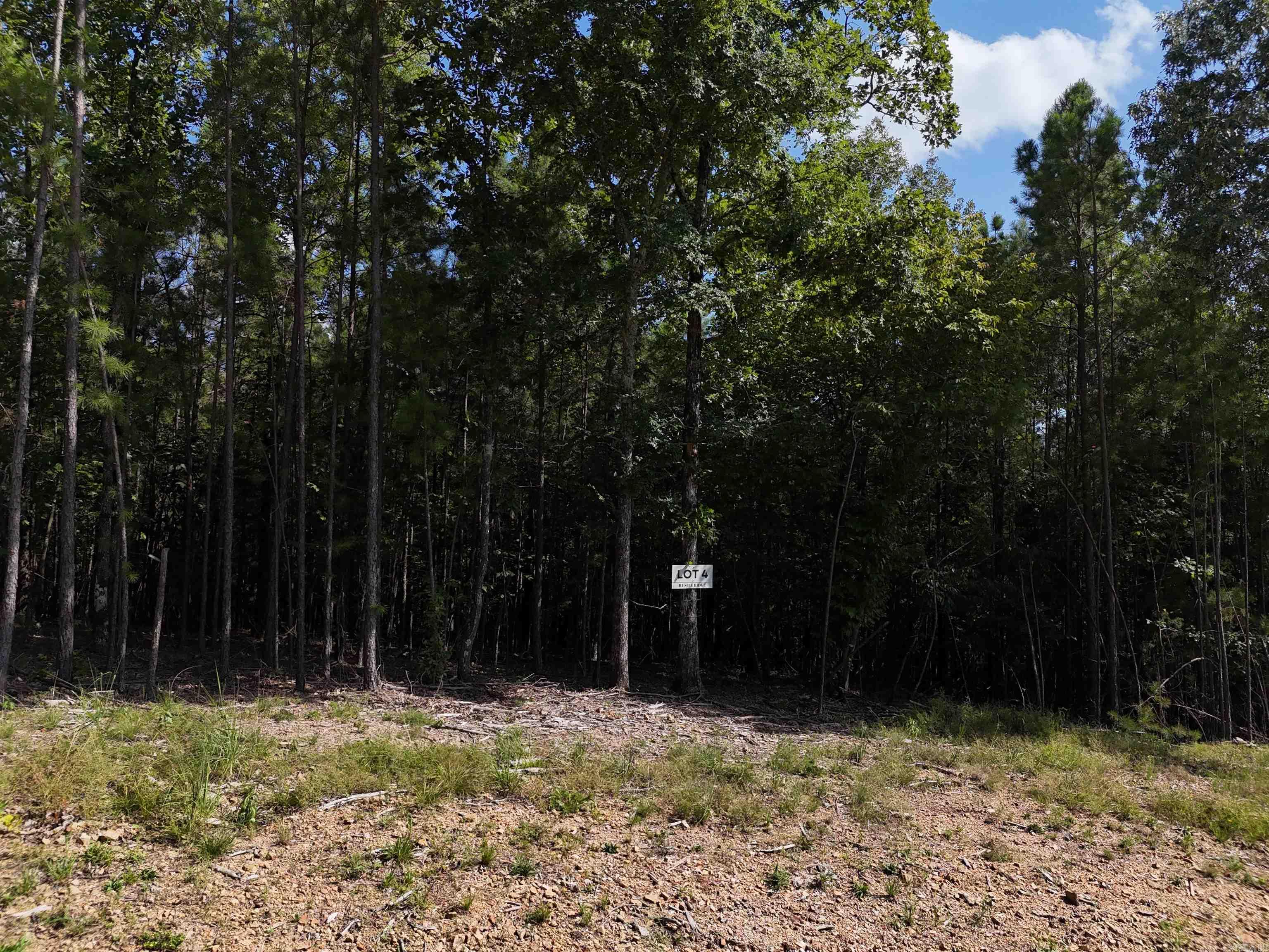 Lot 4 Polk Road 78 Property Photo 4