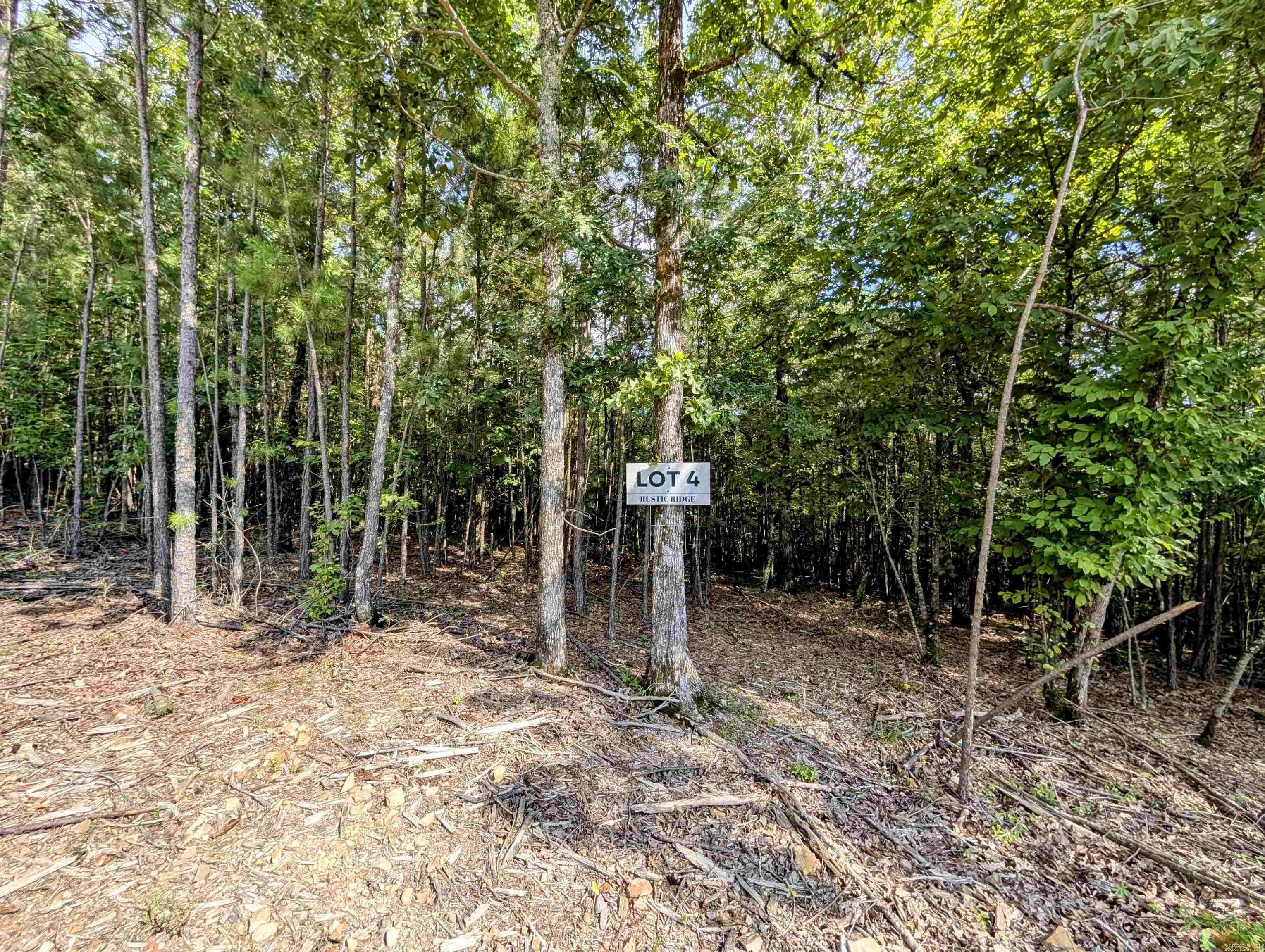Lot 4 Polk Road 78 Property Photo 5