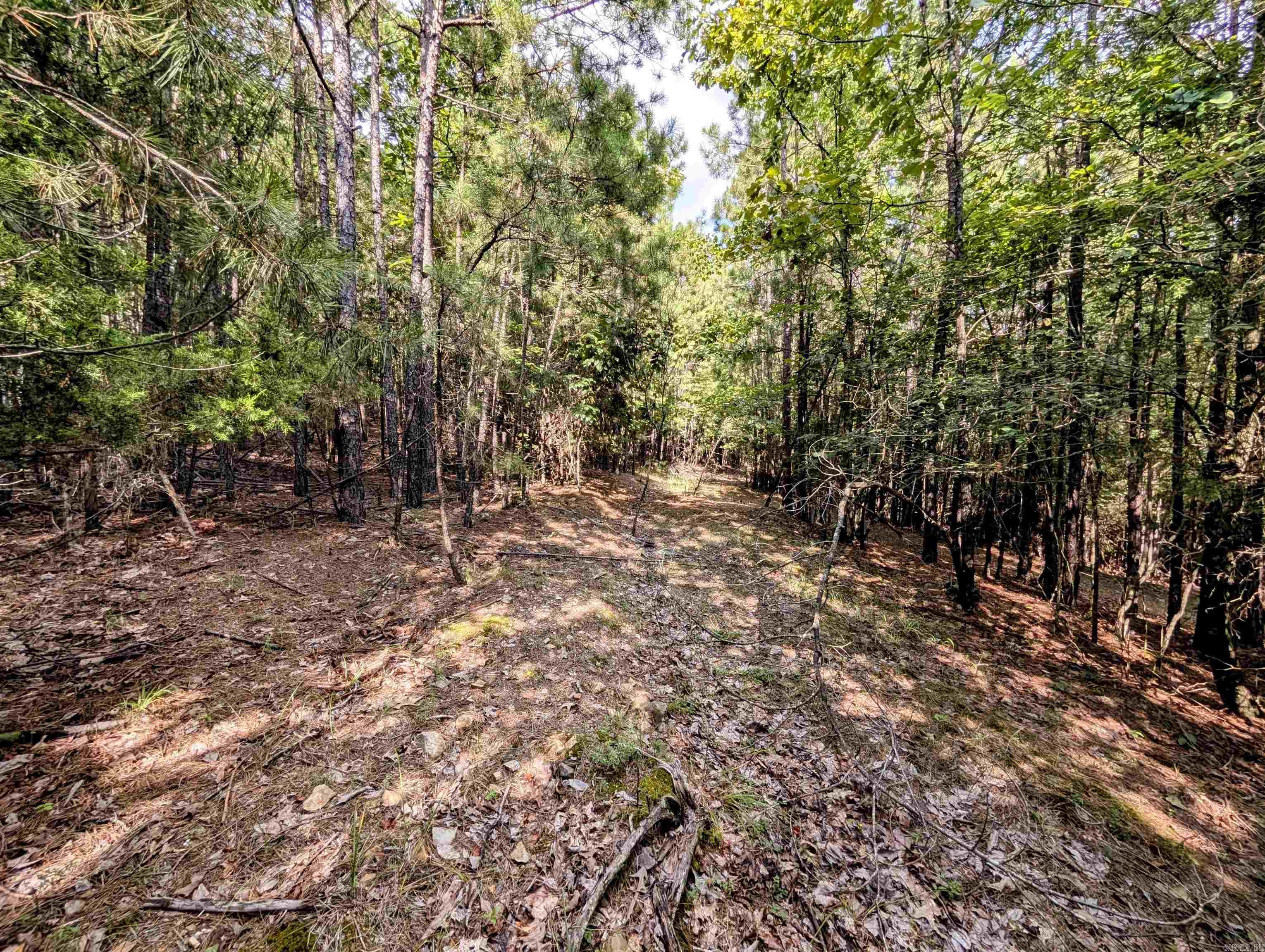 Lot 4 Polk Road 78 Property Photo 6
