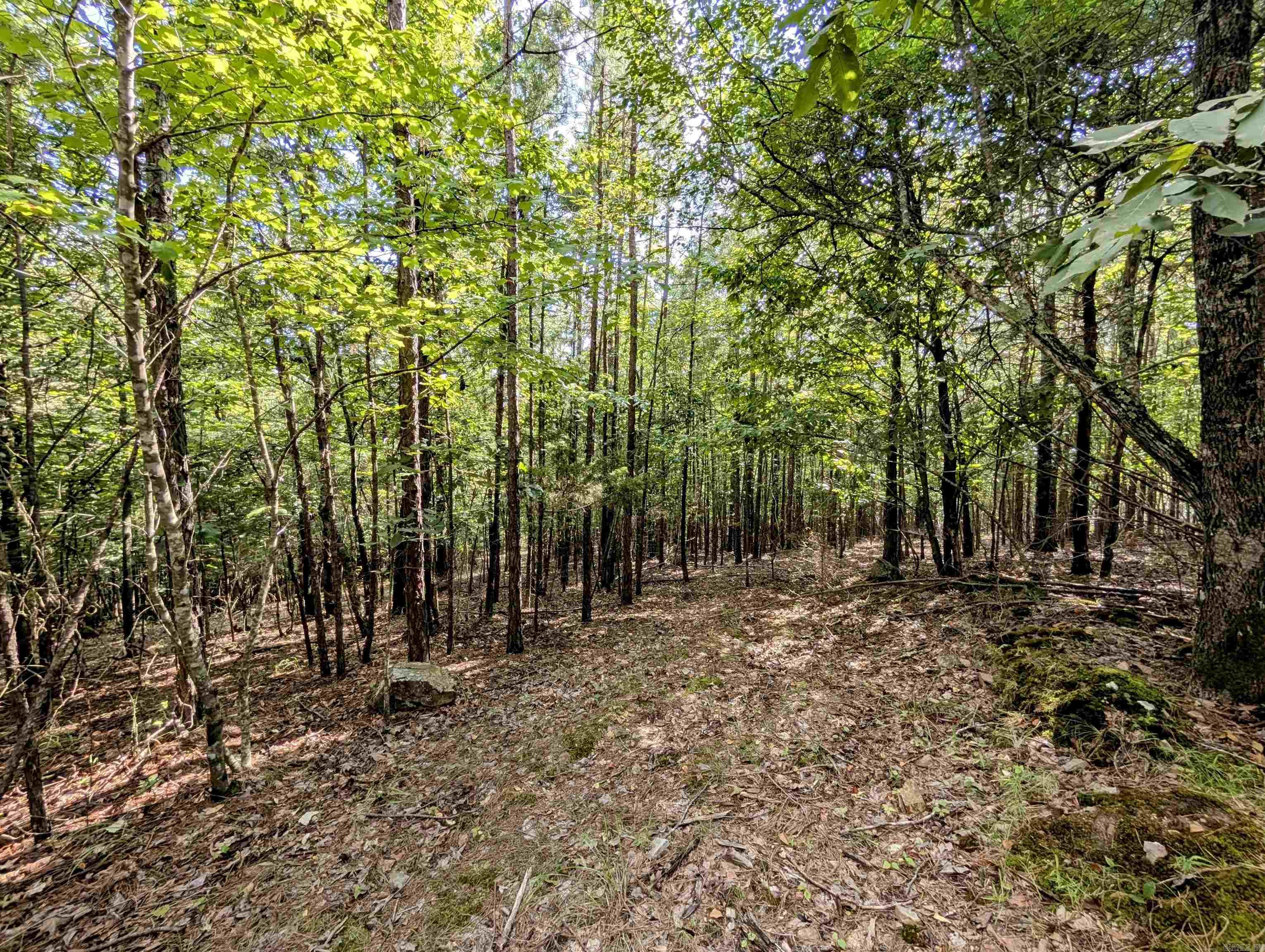 Lot 4 Polk Road 78 Property Photo 7