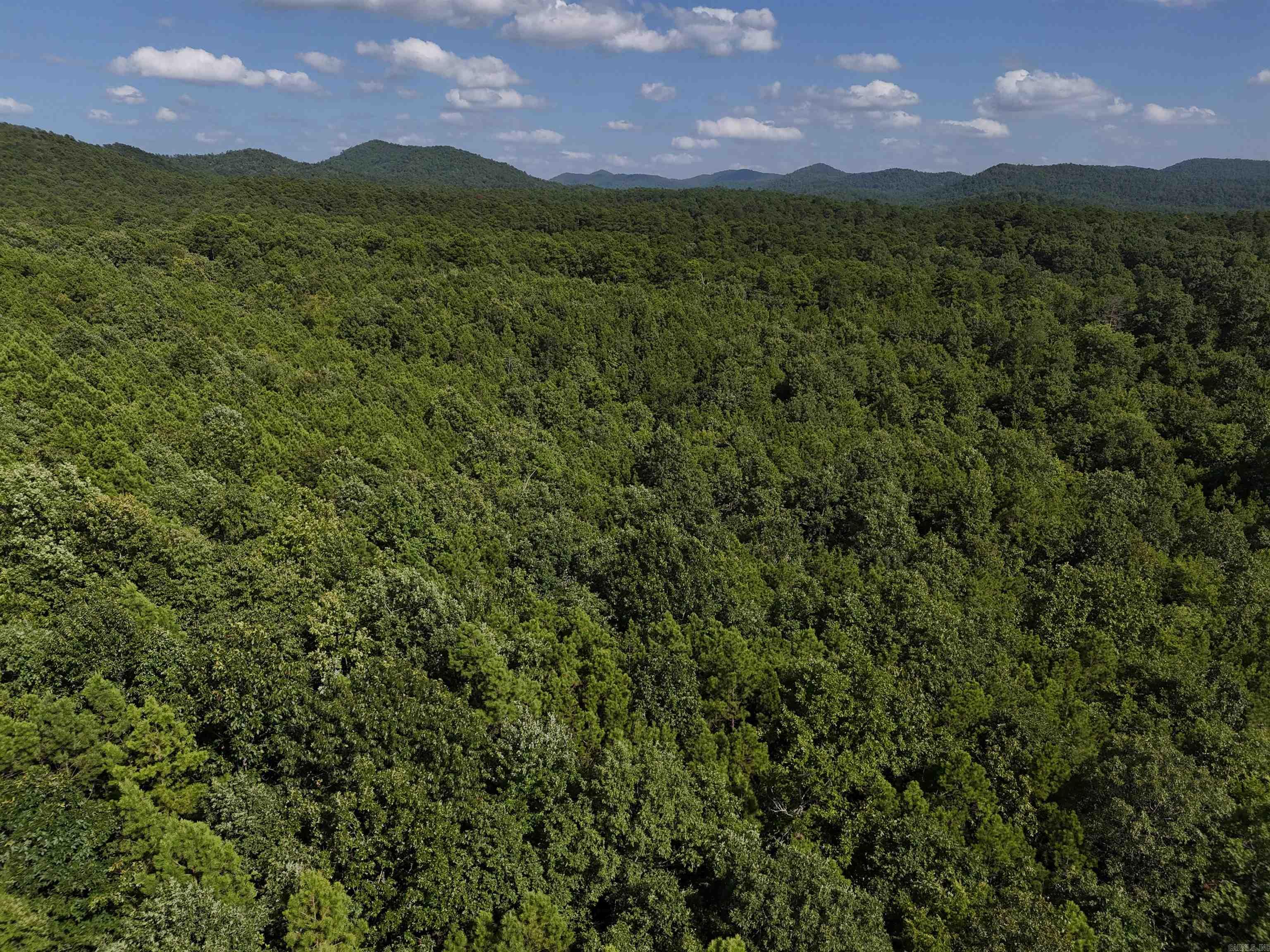 Lot 6 Polk Road 78 Property Photo 2