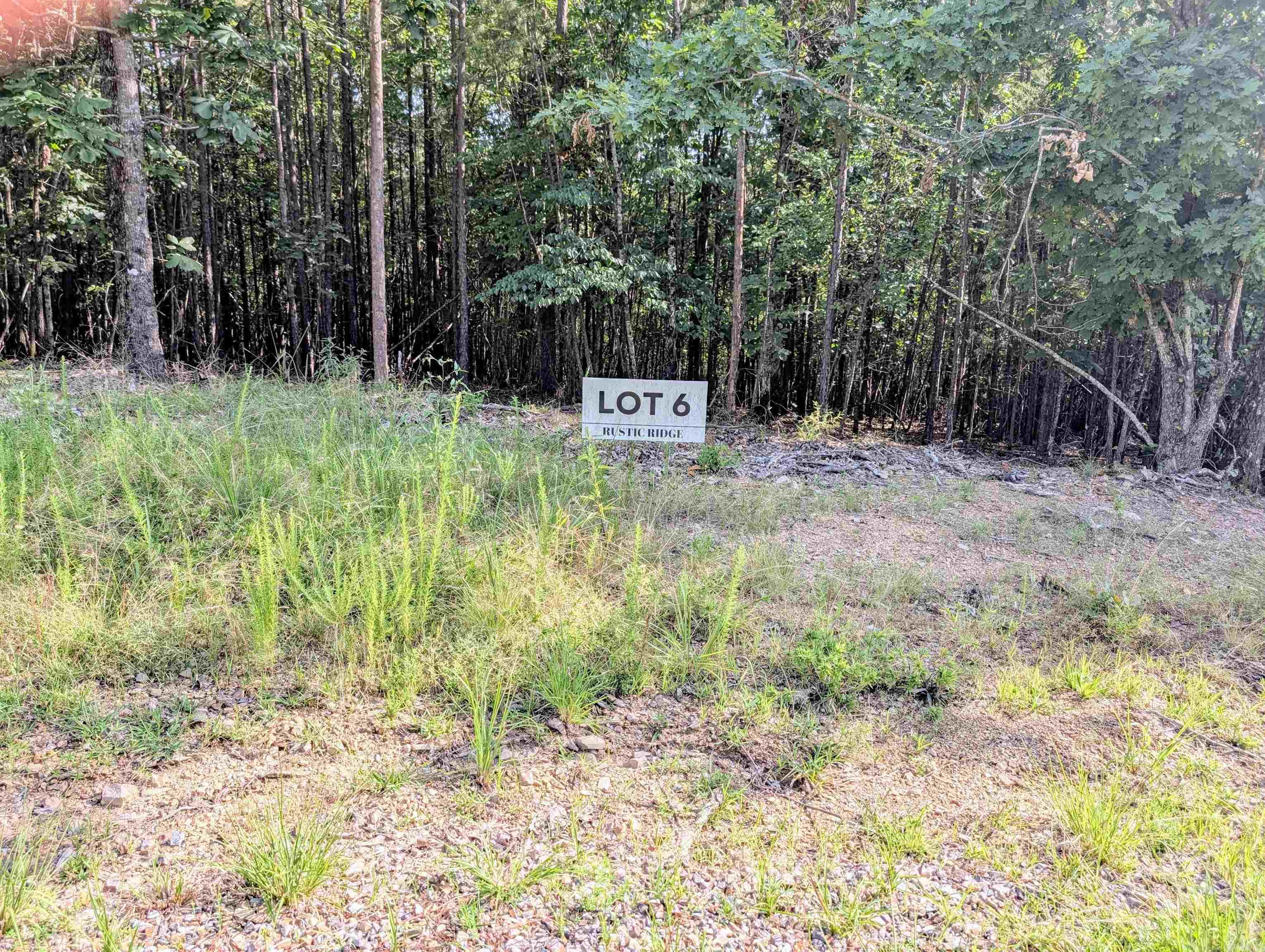 Lot 6 Polk Road 78 Property Photo 4