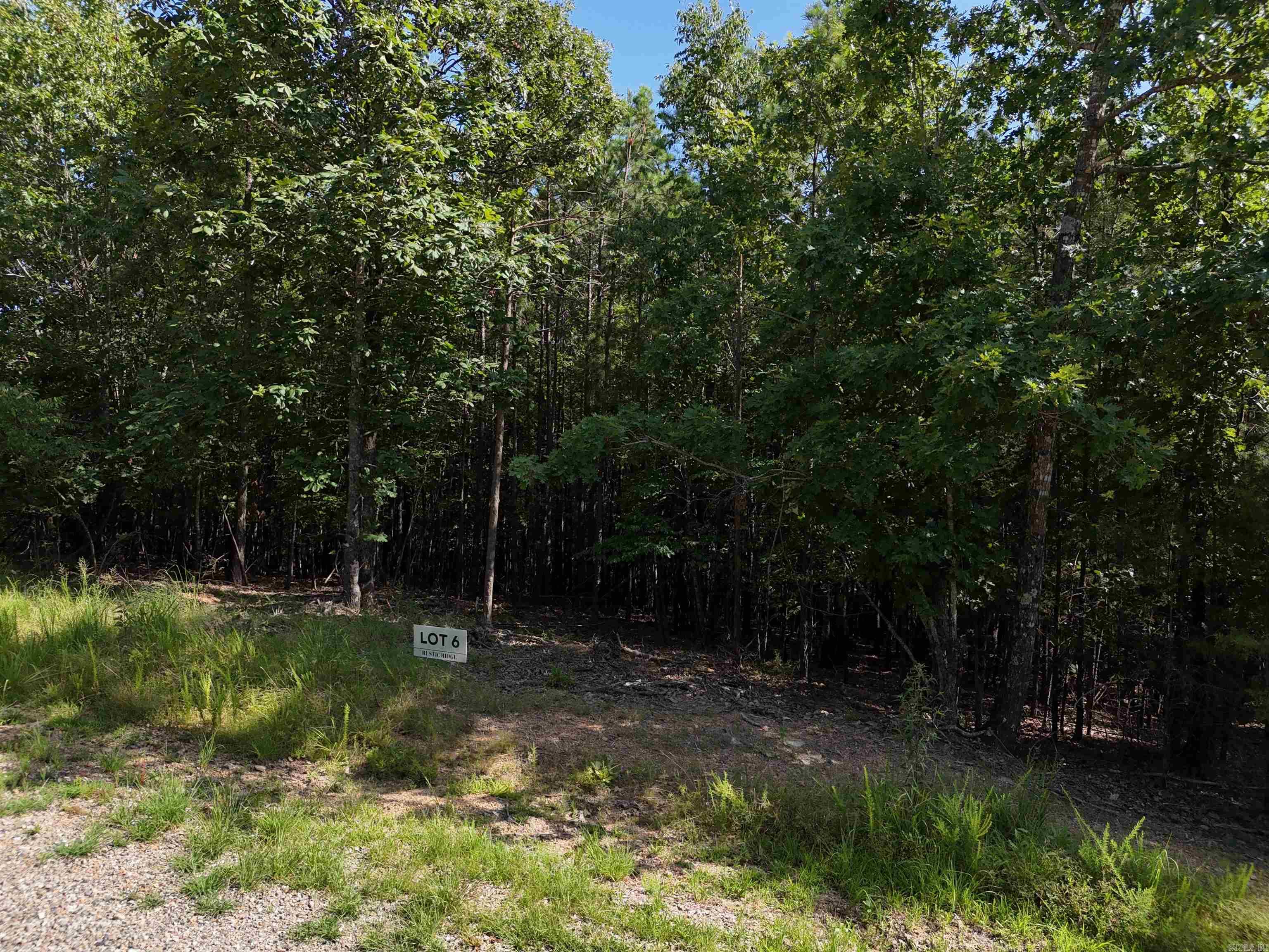 Lot 6 Polk Road 78 Property Photo 5