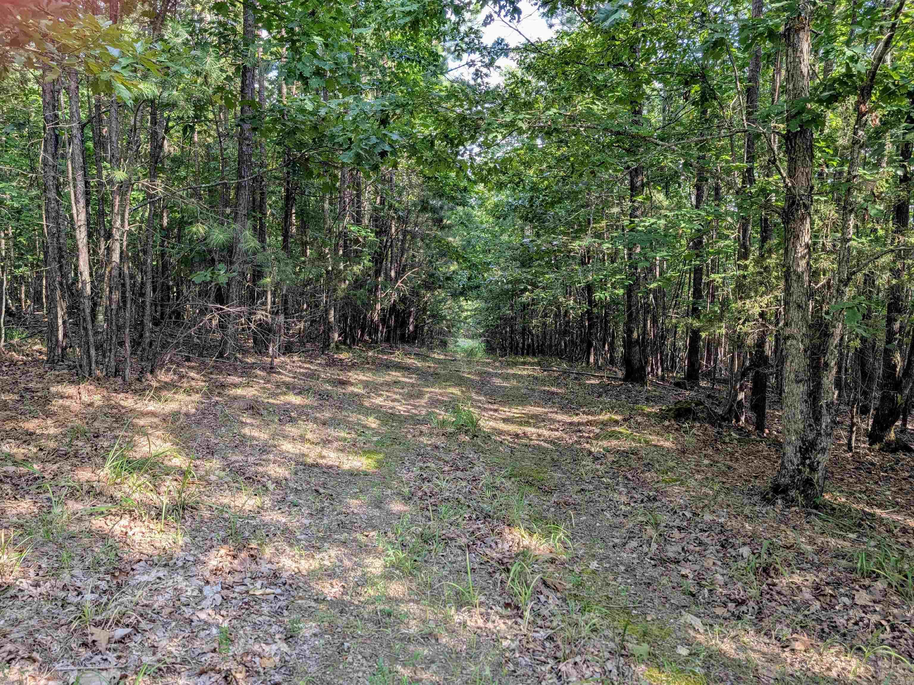 Lot 6 Polk Road 78 Property Photo 6