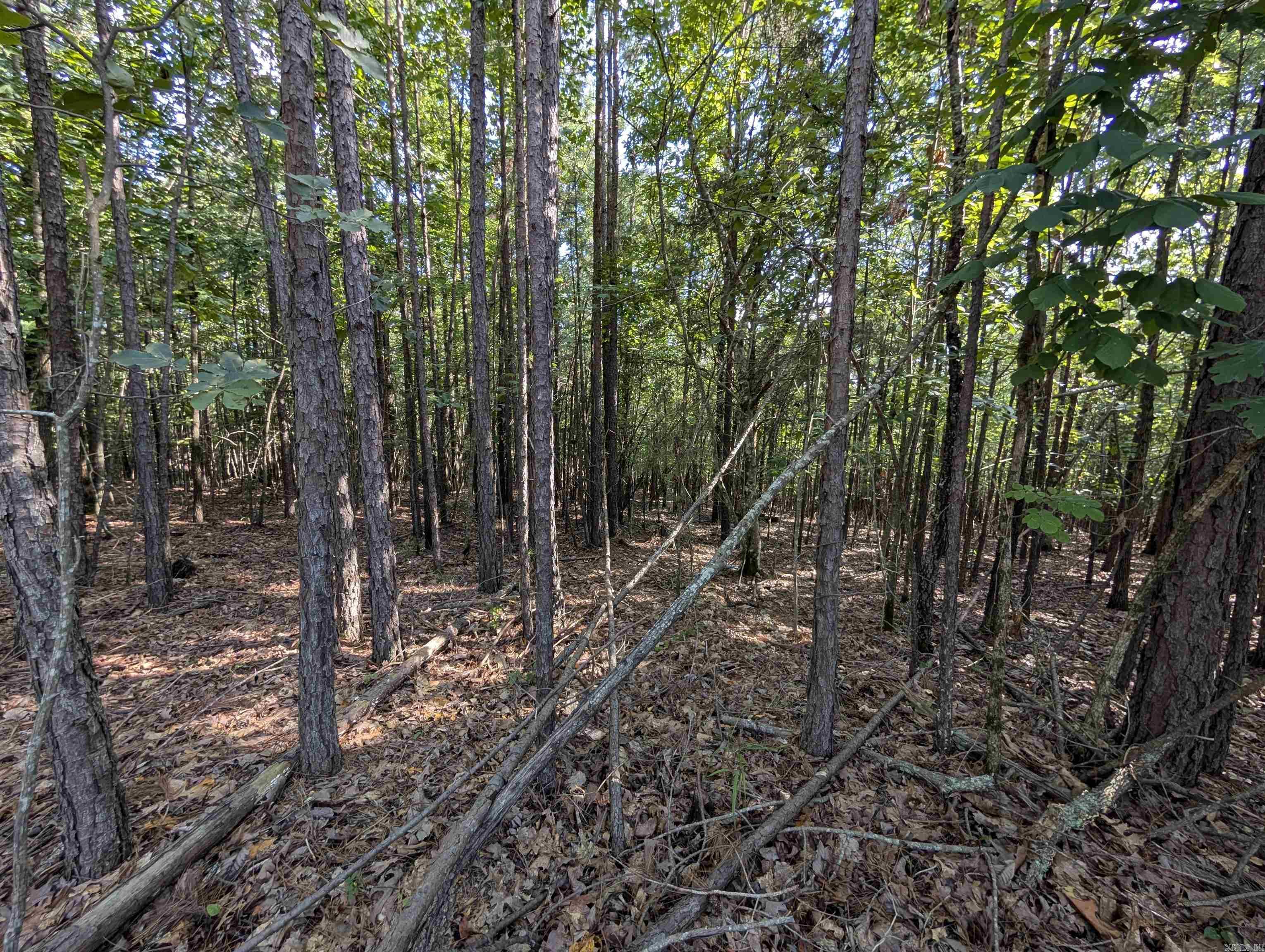 Lot 6 Polk Road 78 Property Photo 7