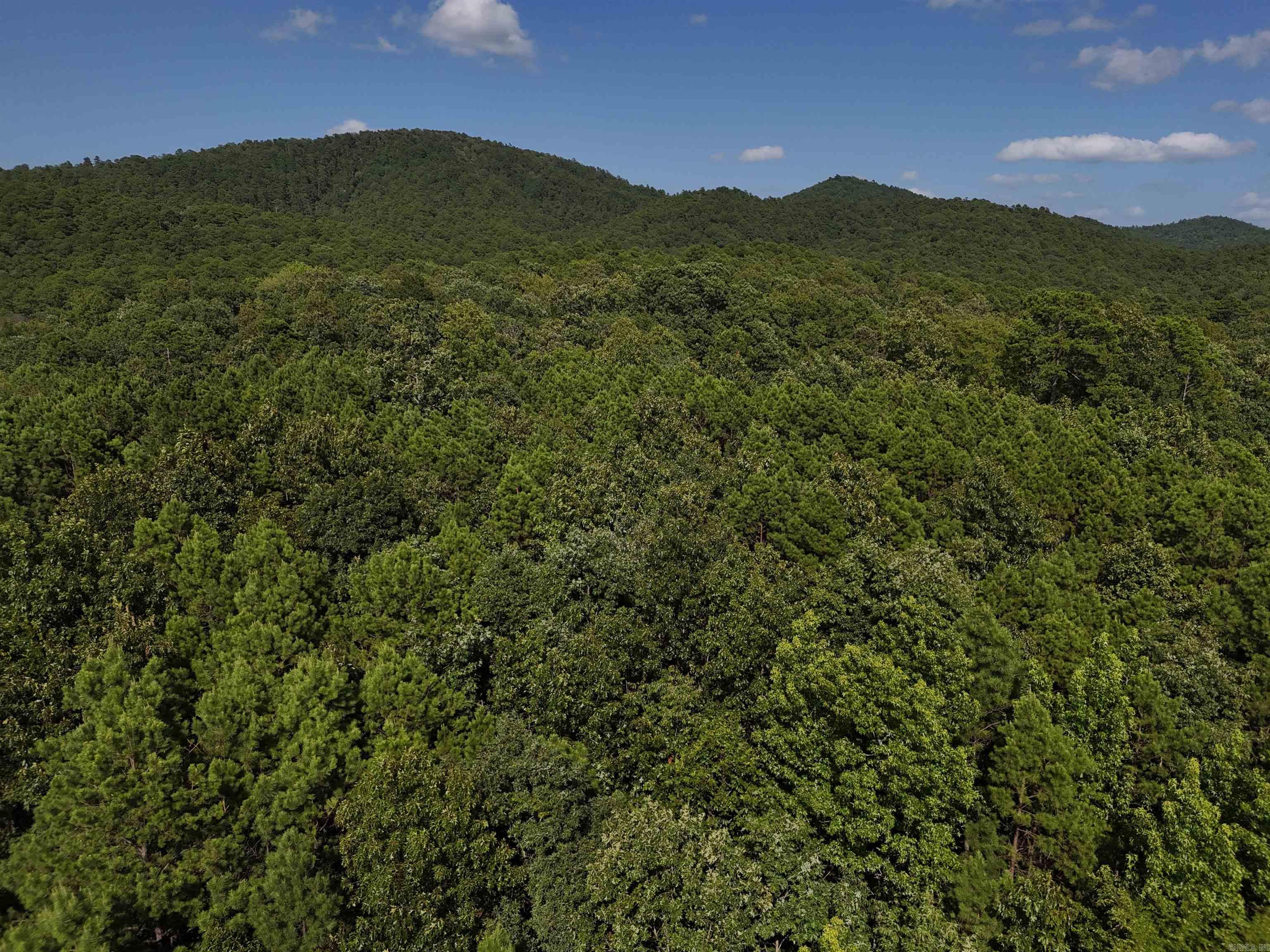 Lot 8 Polk Road 78 Property Photo 2