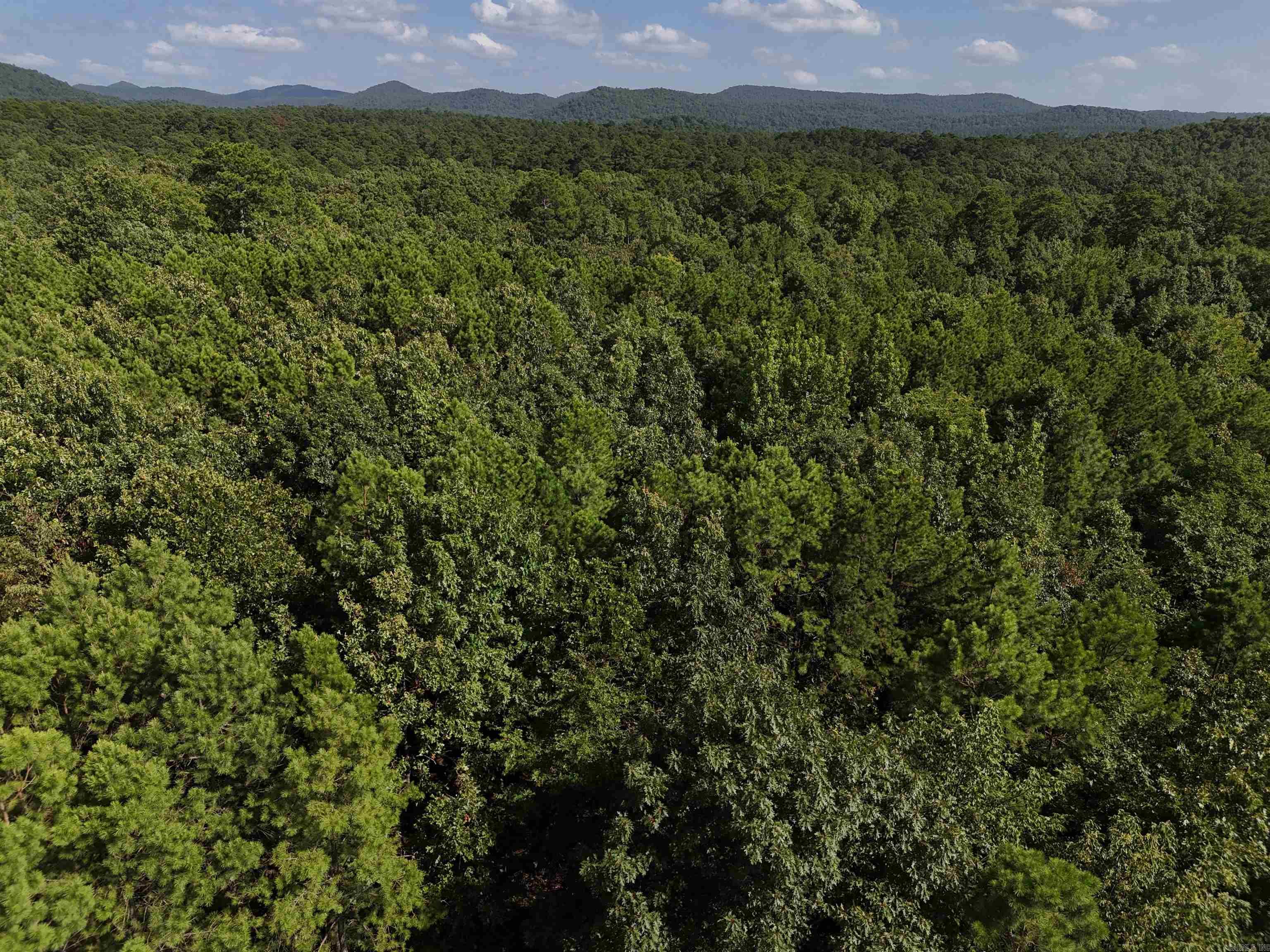 Lot 8 Polk Road 78 Property Photo 3