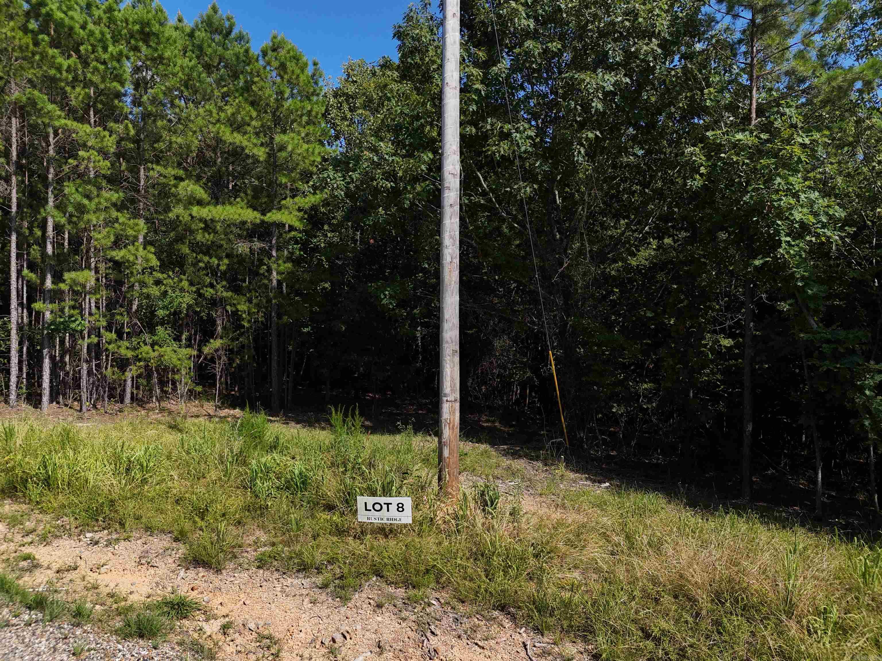 Lot 8 Polk Road 78 Property Photo 4