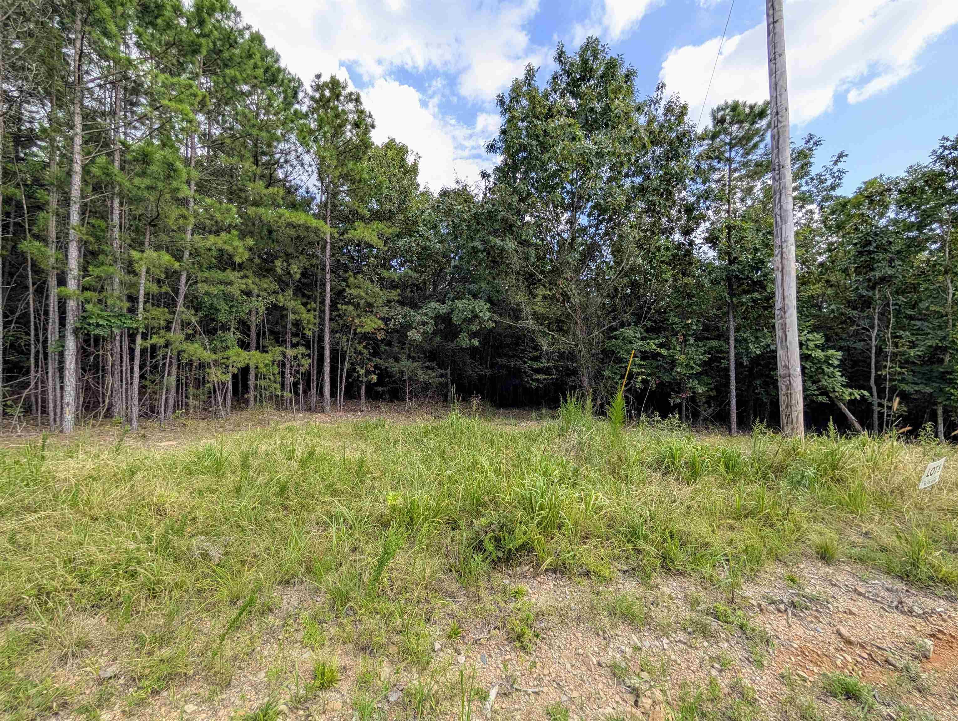 Lot 8 Polk Road 78 Property Photo 6